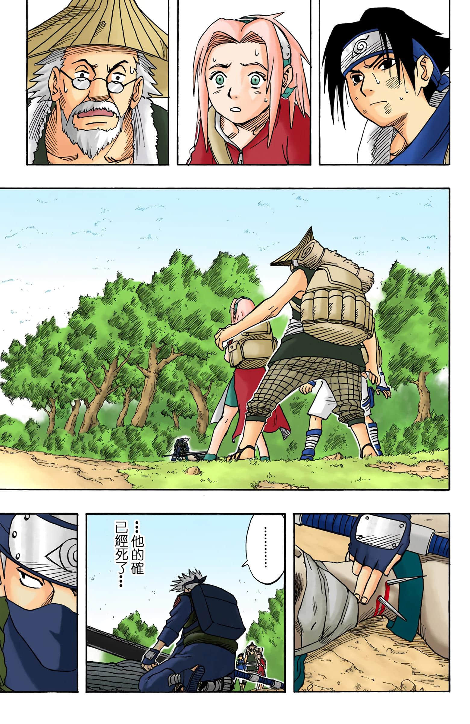 Page 351