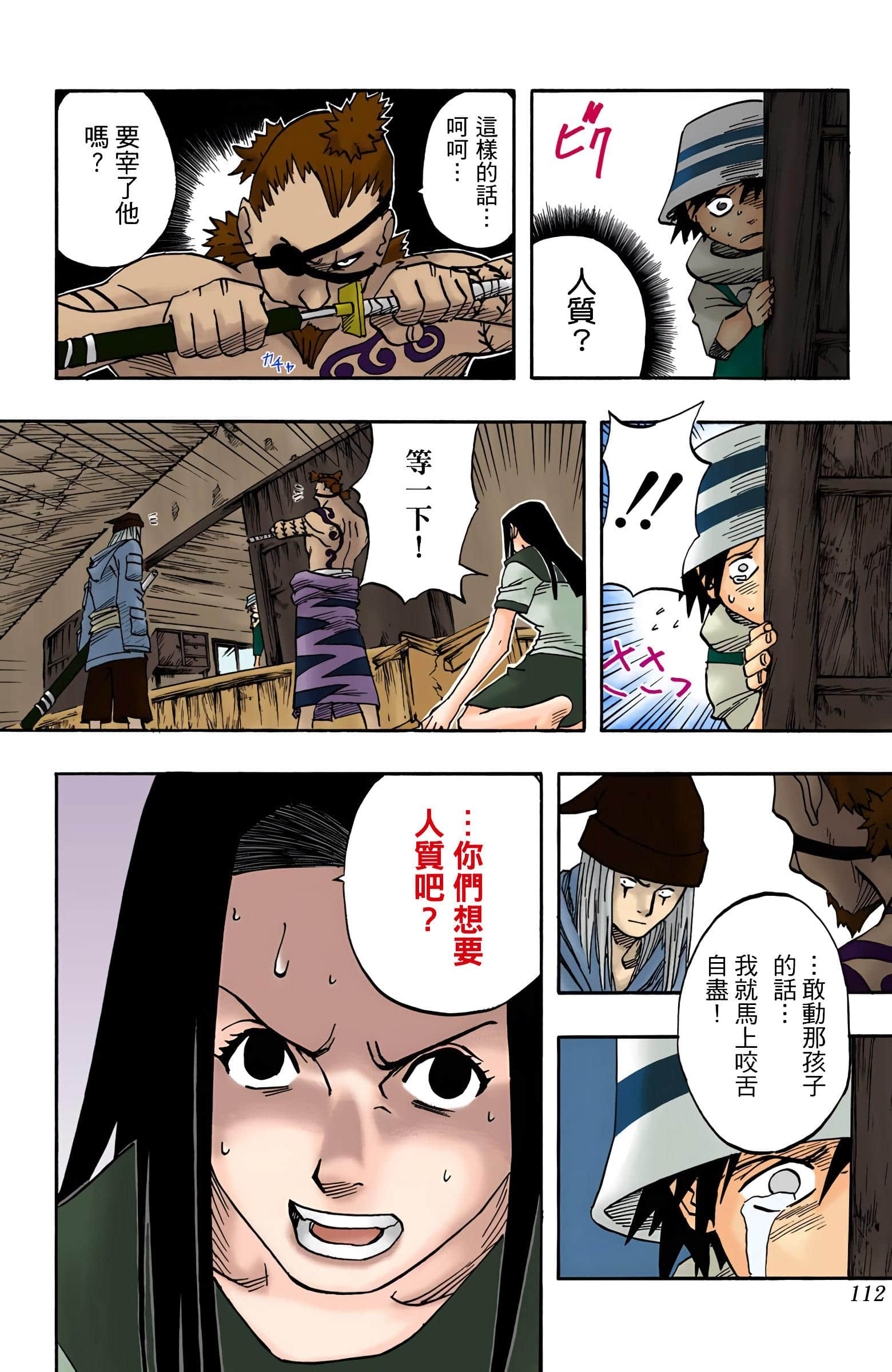 Page 111