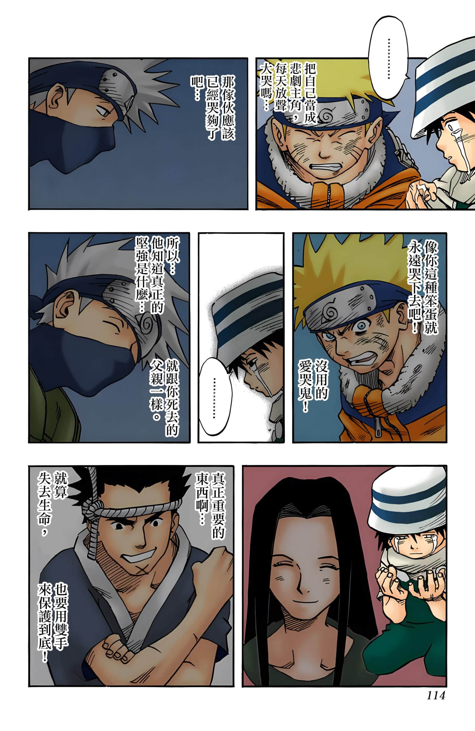 Page 113