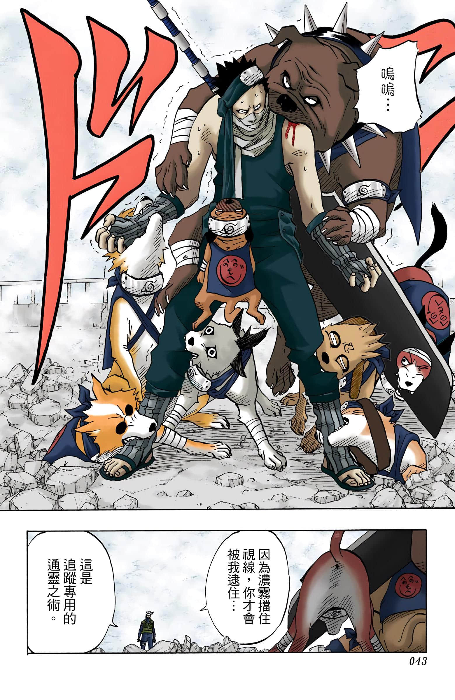 Page 43