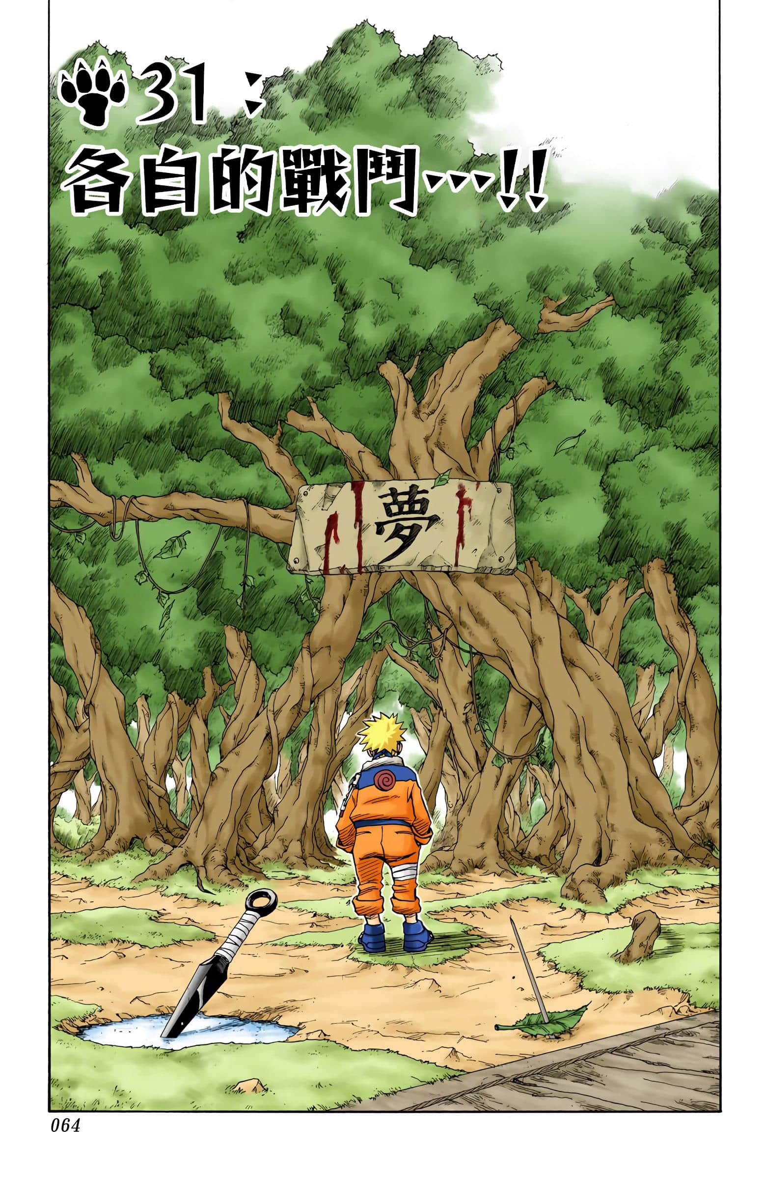 Page 64