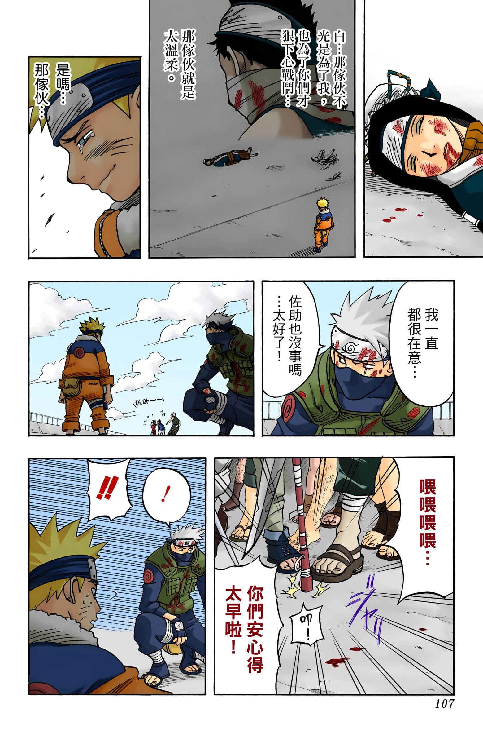 Page 107