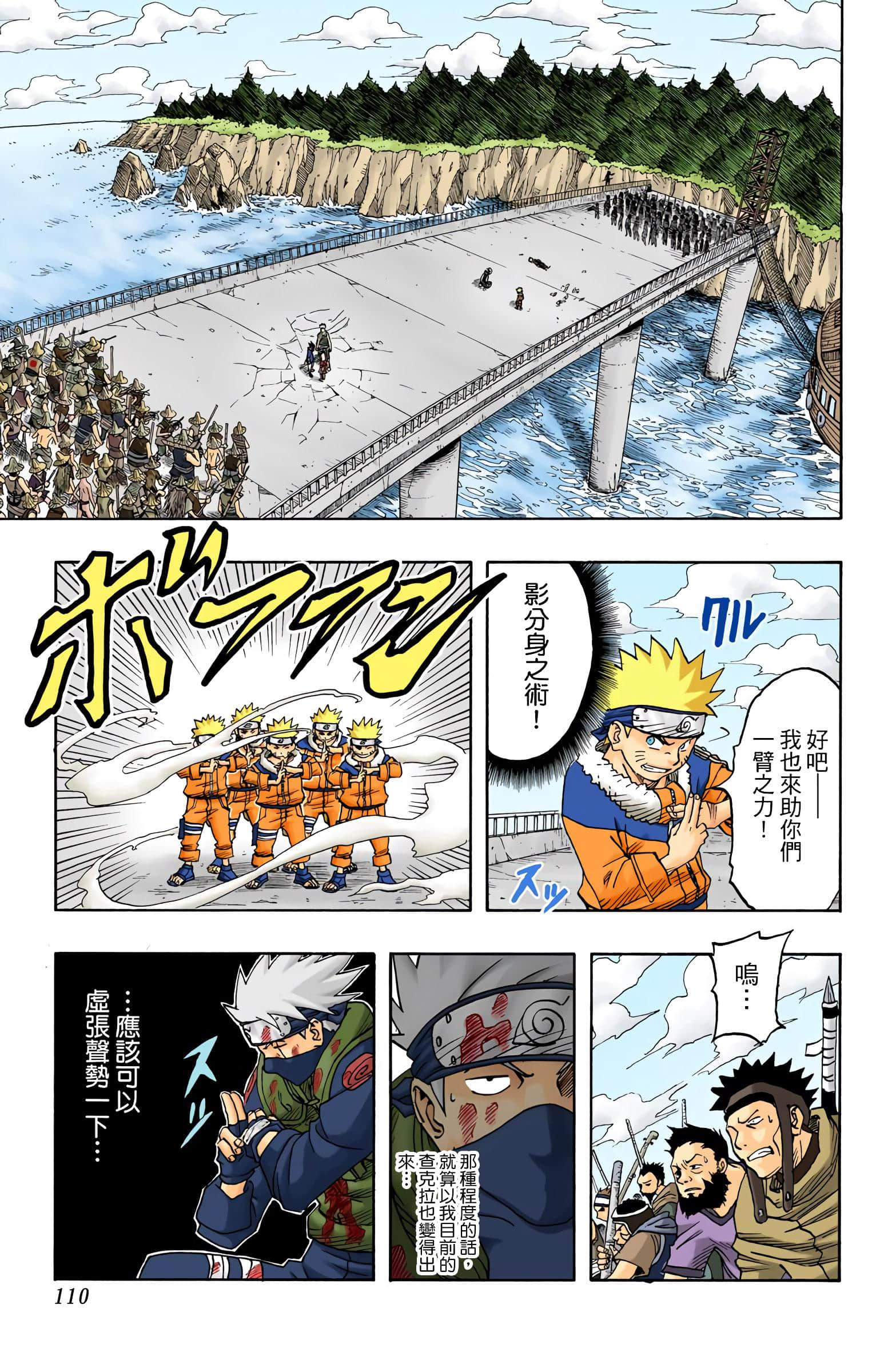 Page 110