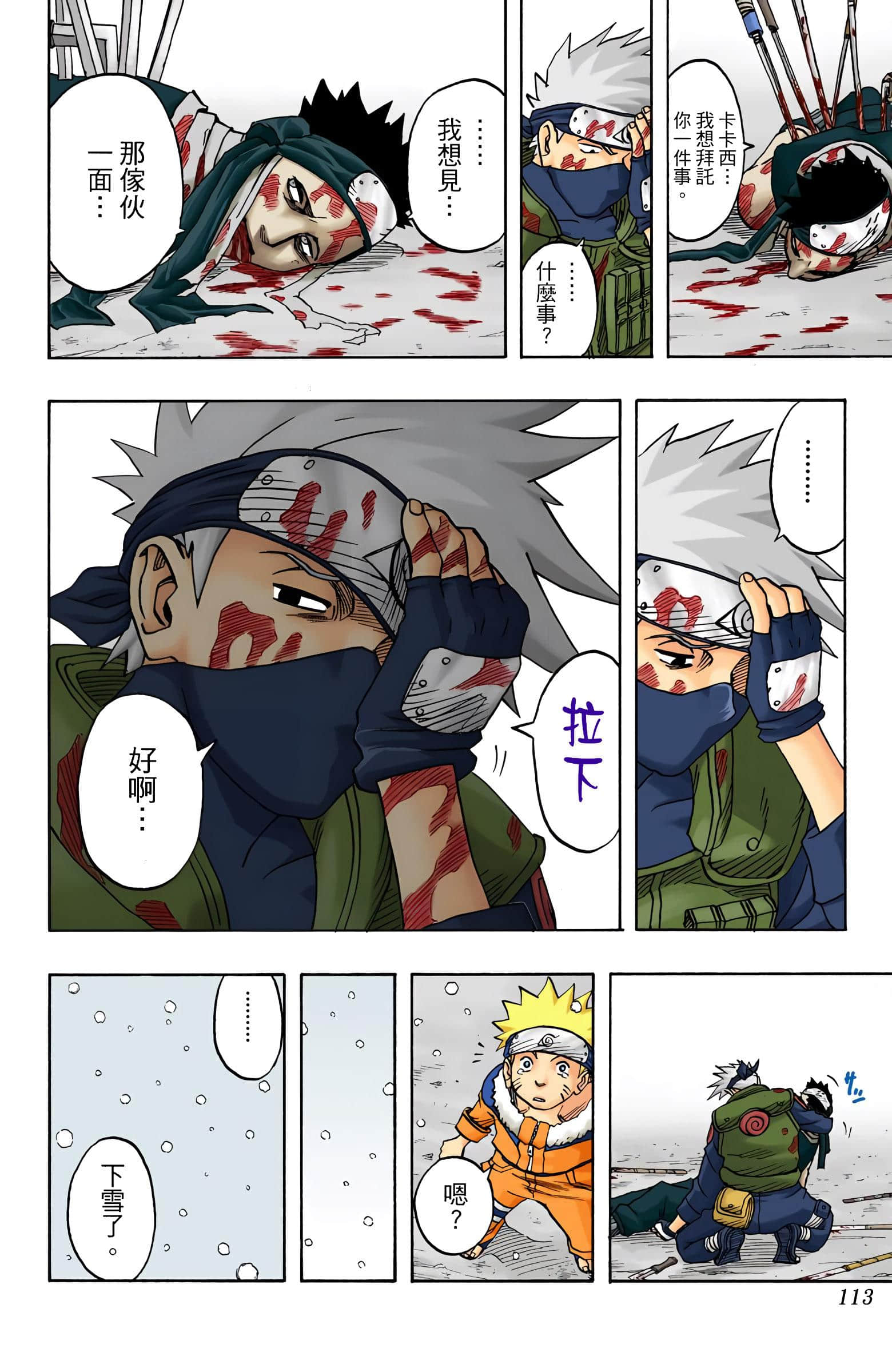 Page 113