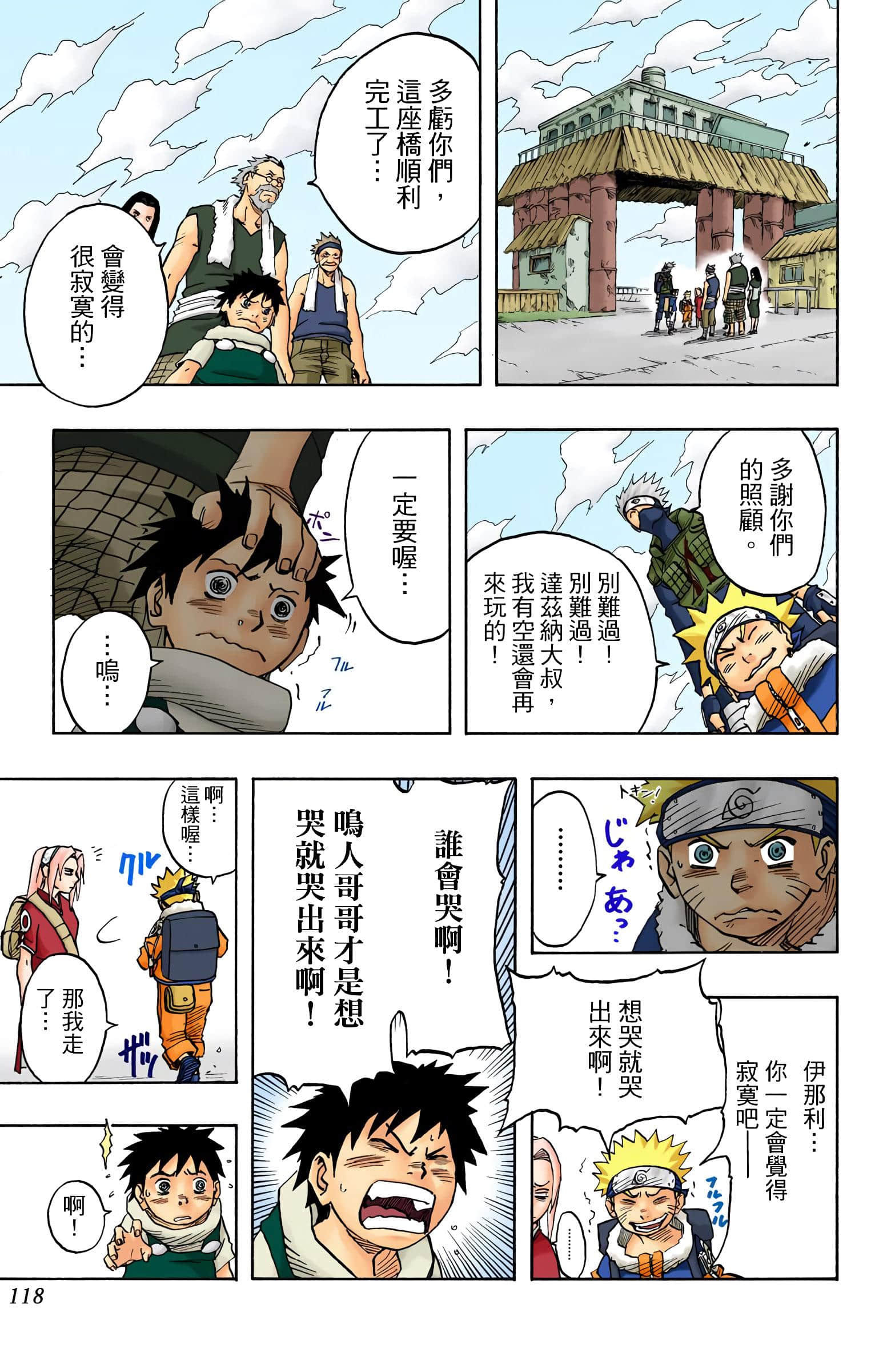 Page 118