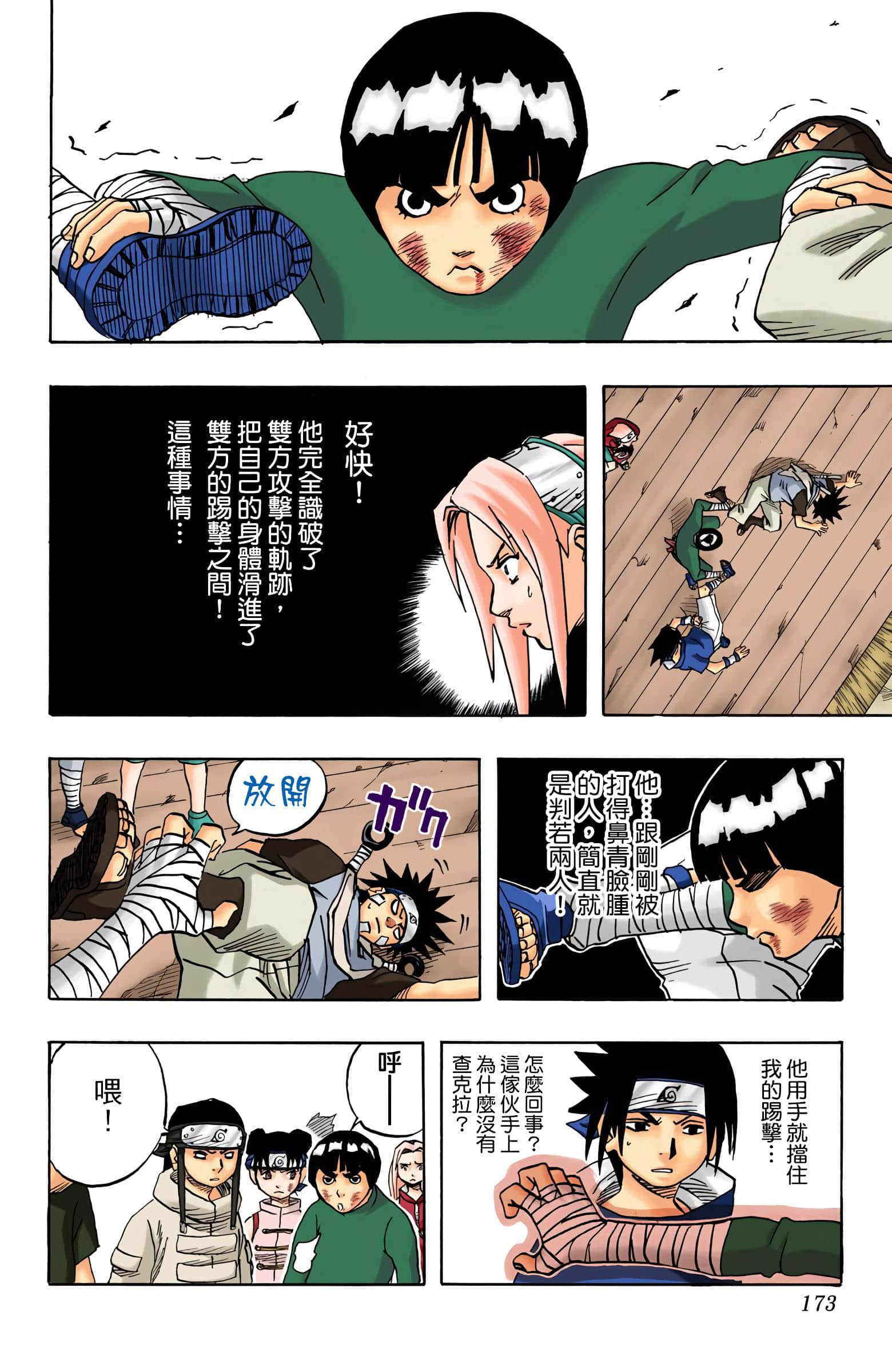 Page 173