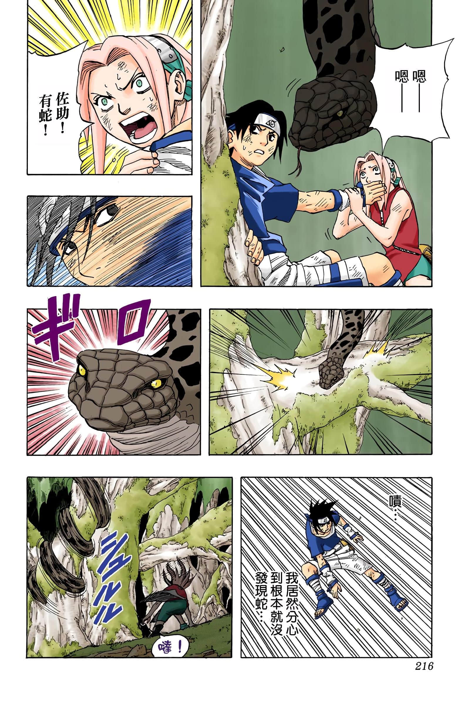 Page 41