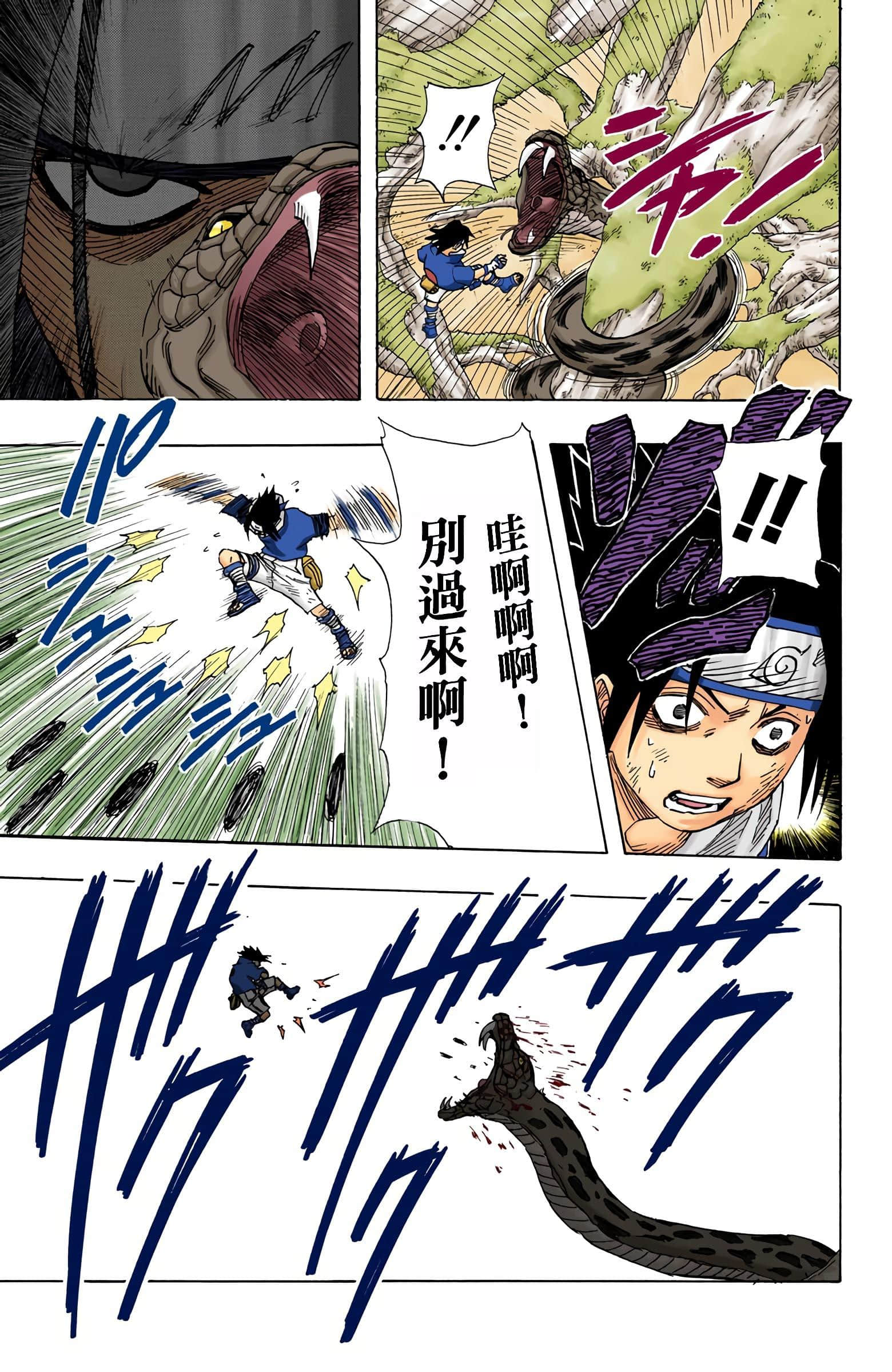 Page 42