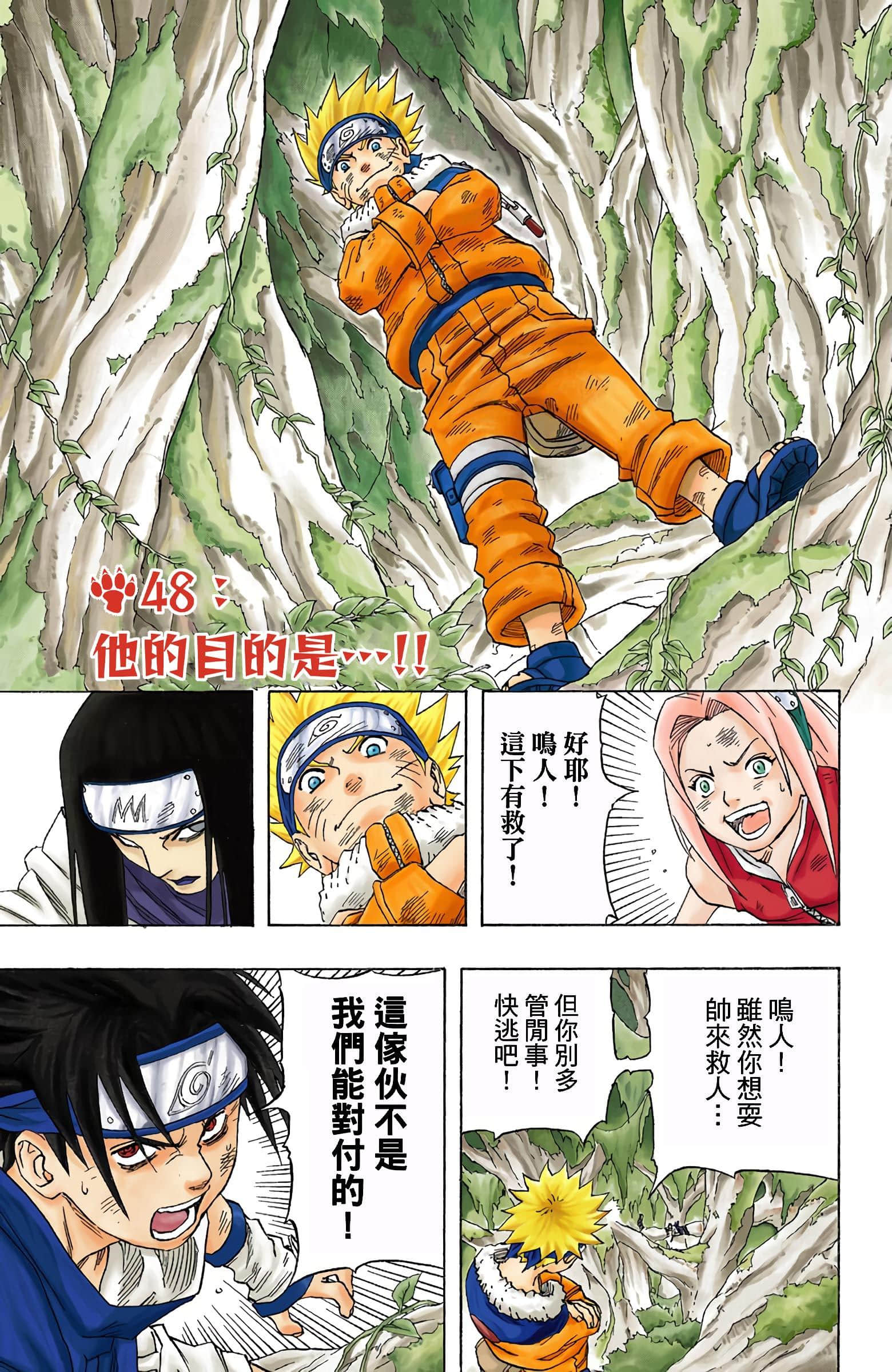 Page 46