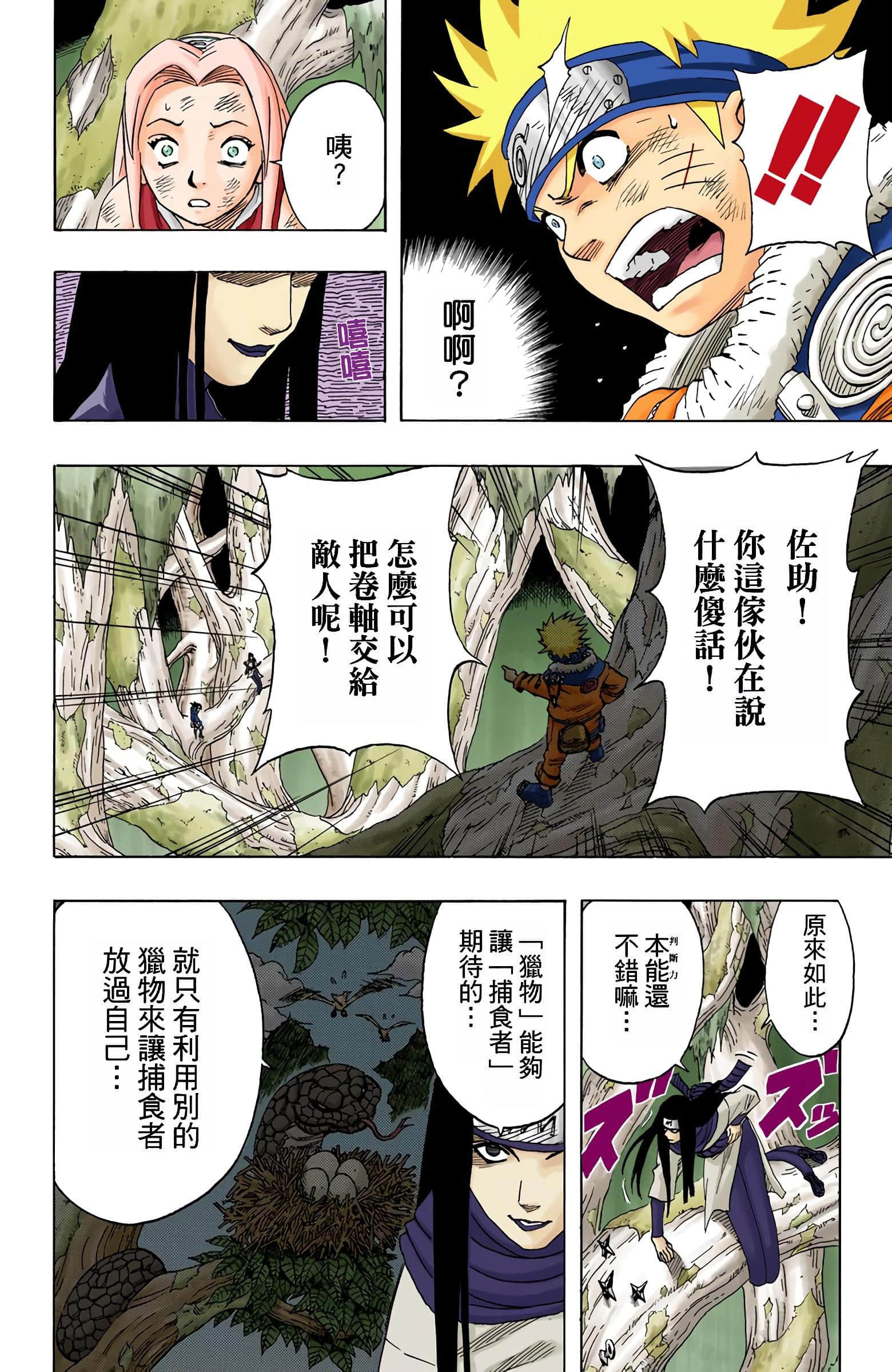 Page 51