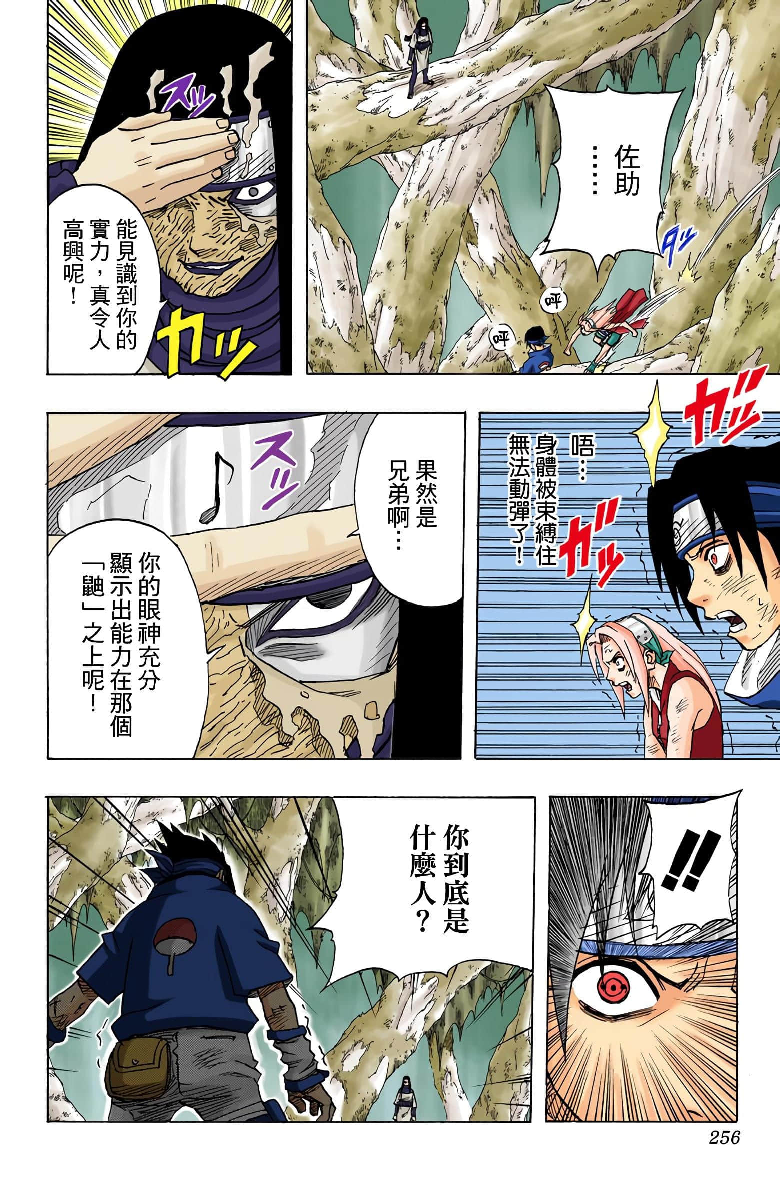 Page 81