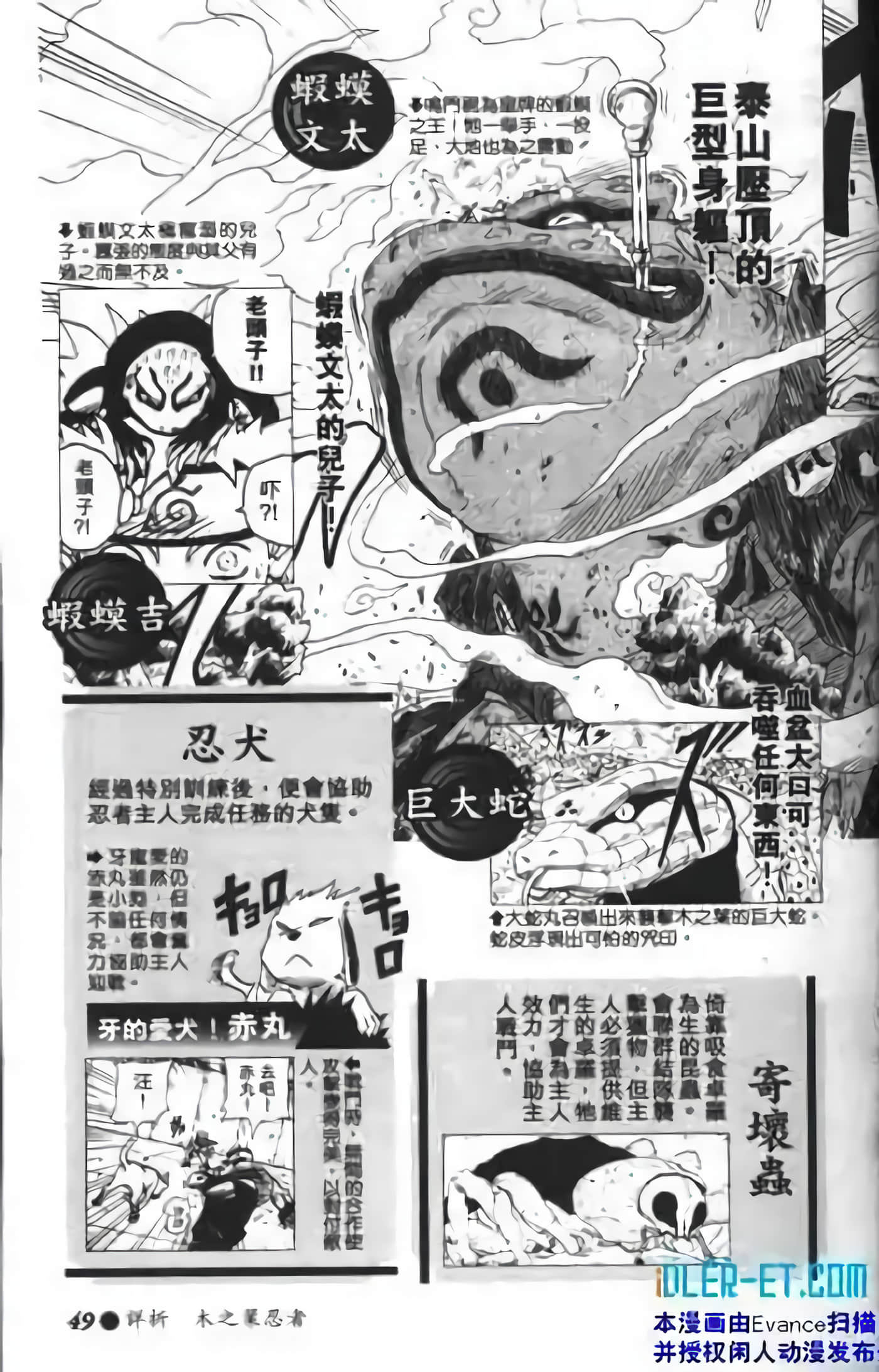 Page 45