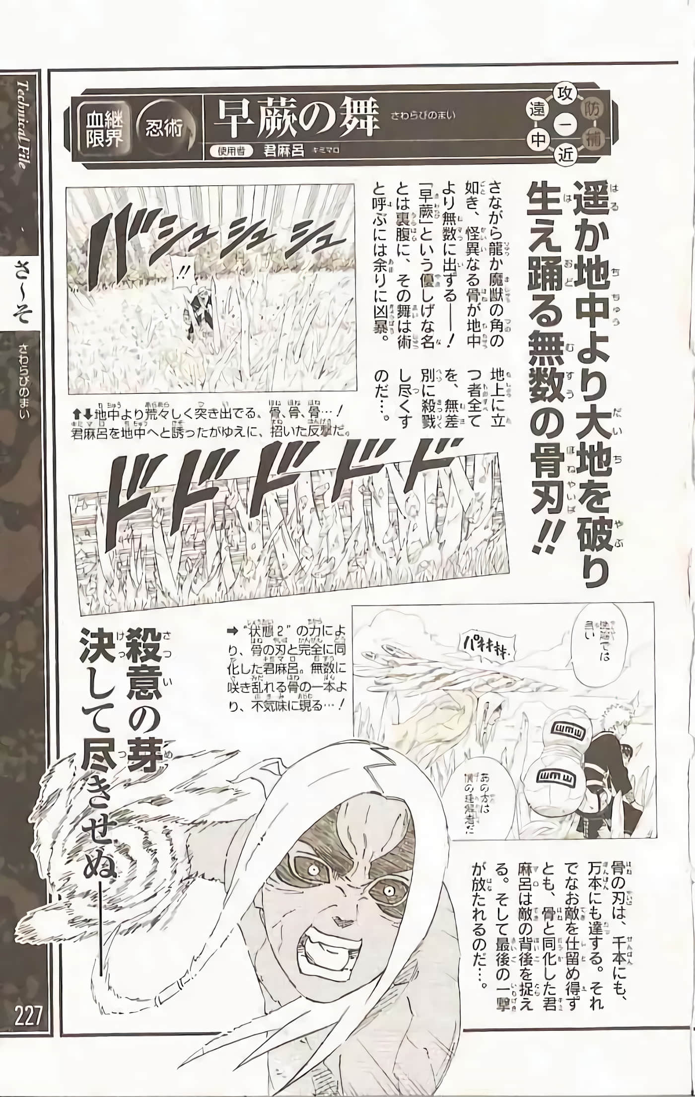 Page 224
