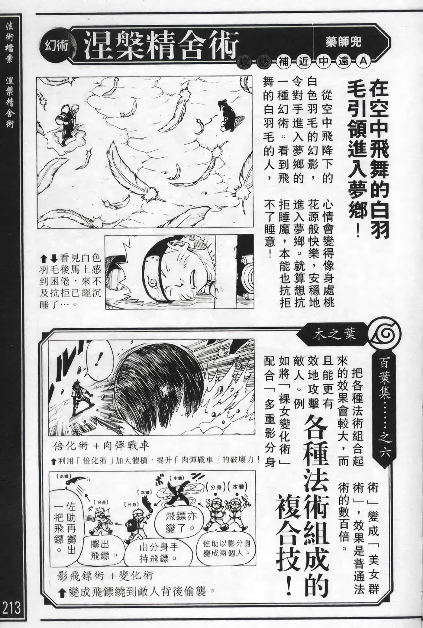 Page 213
