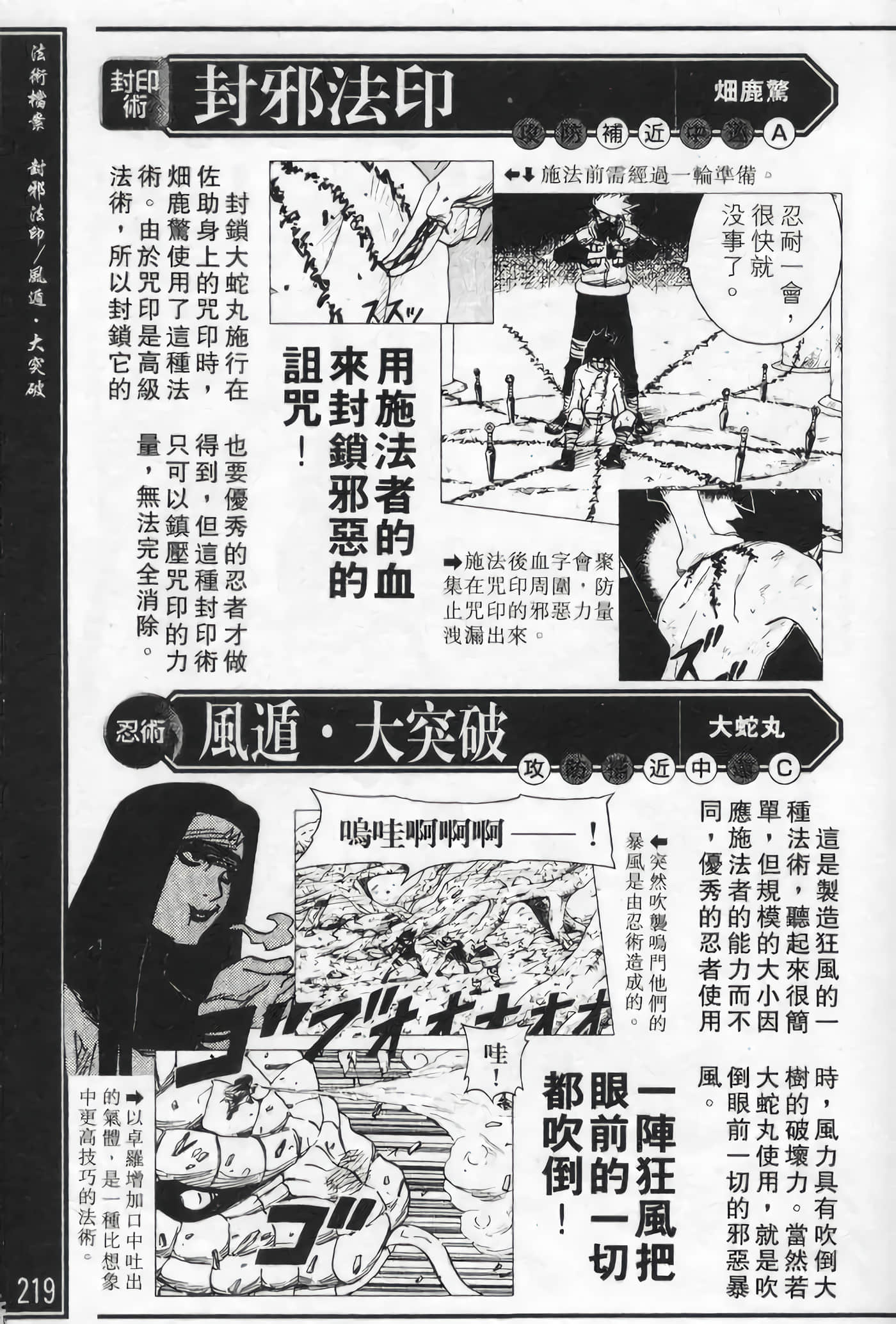 Page 219