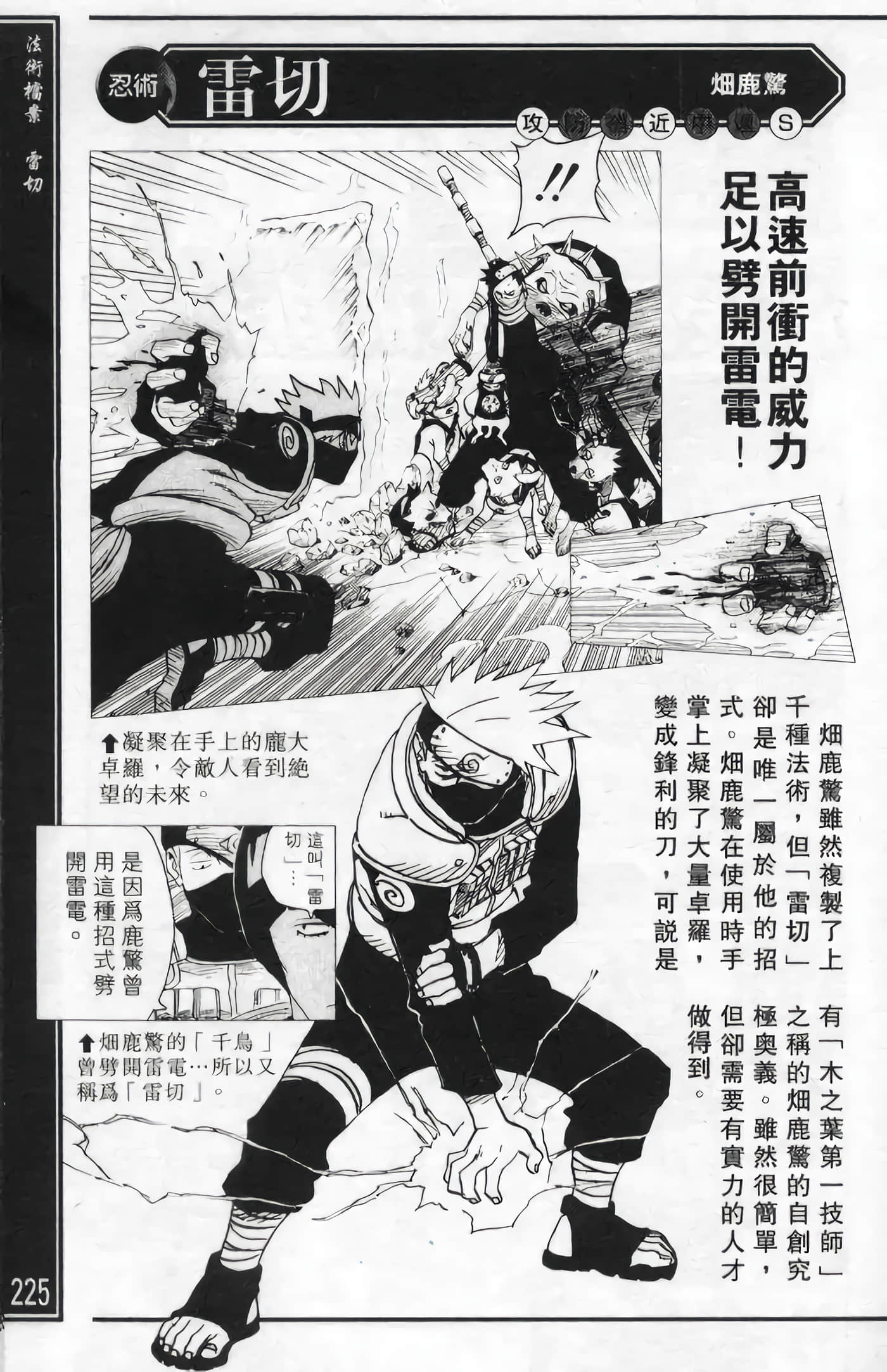 Page 225