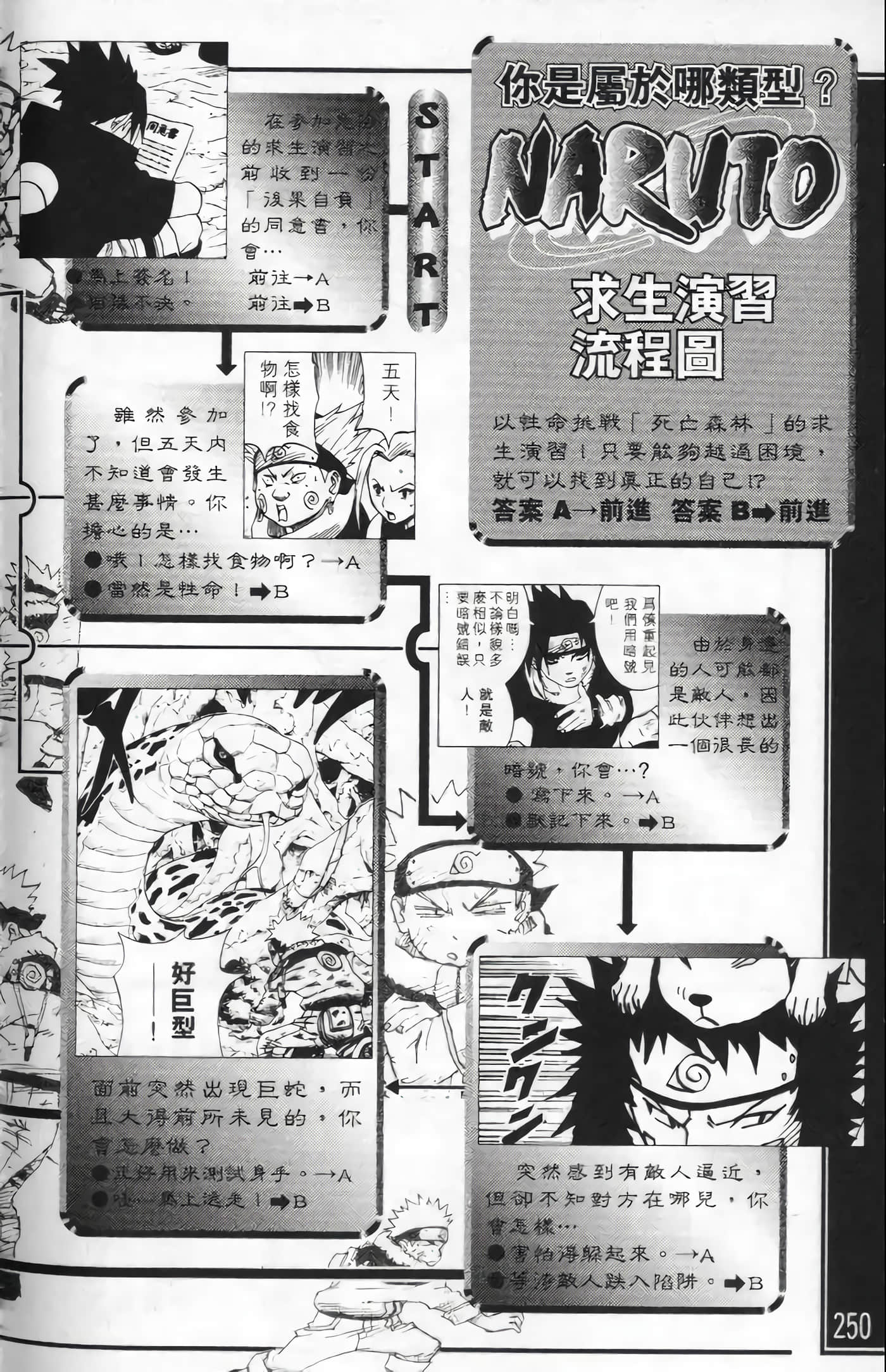Page 247