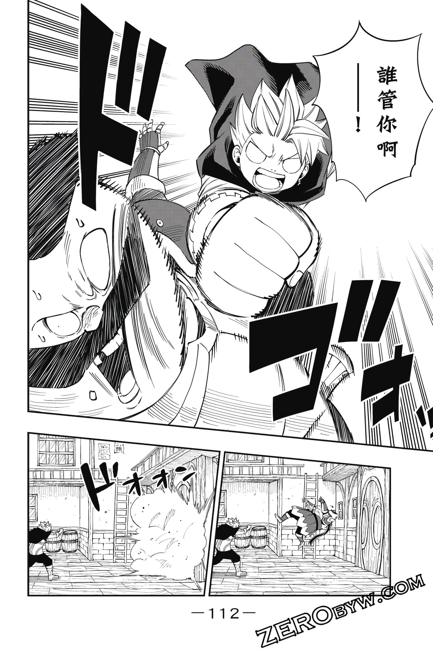 Page 113