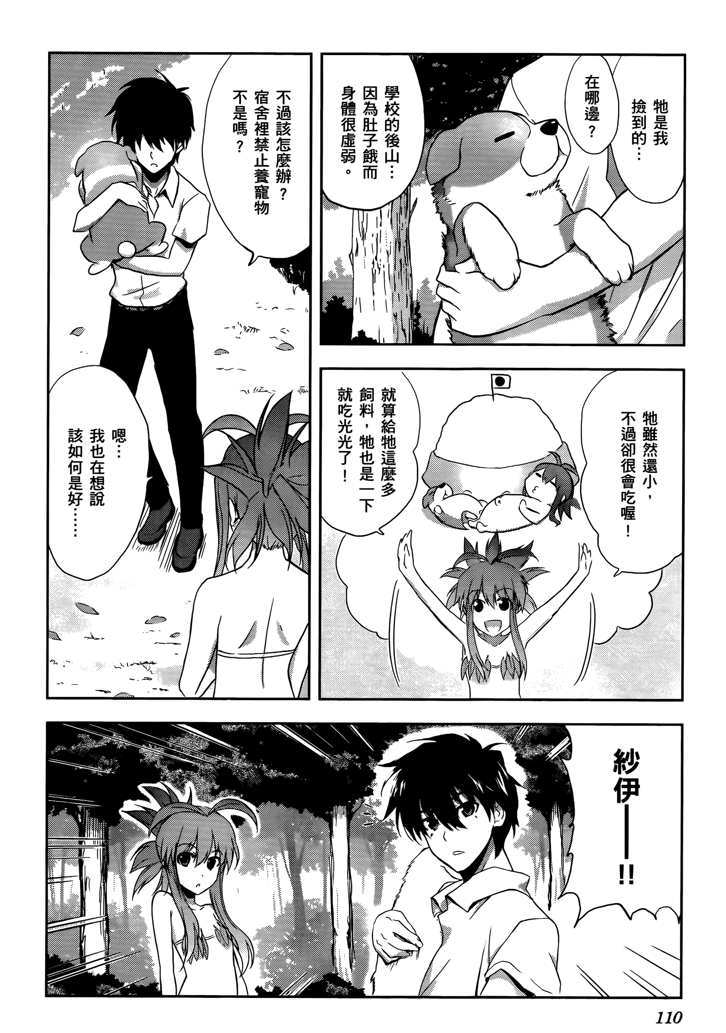 Page 111