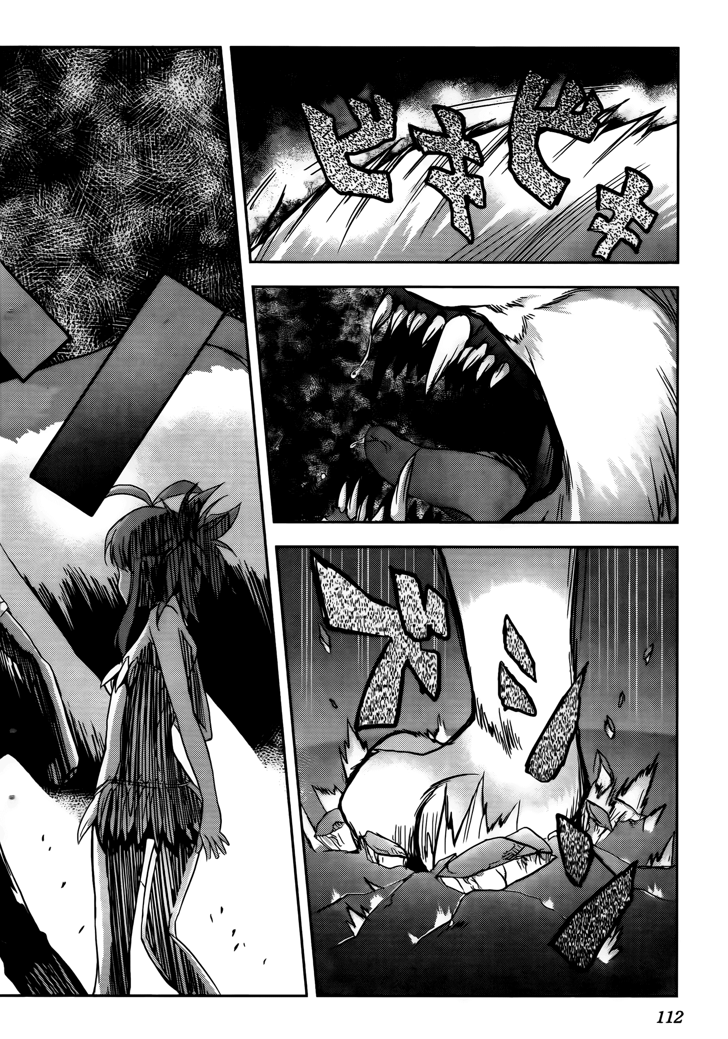 Page 113
