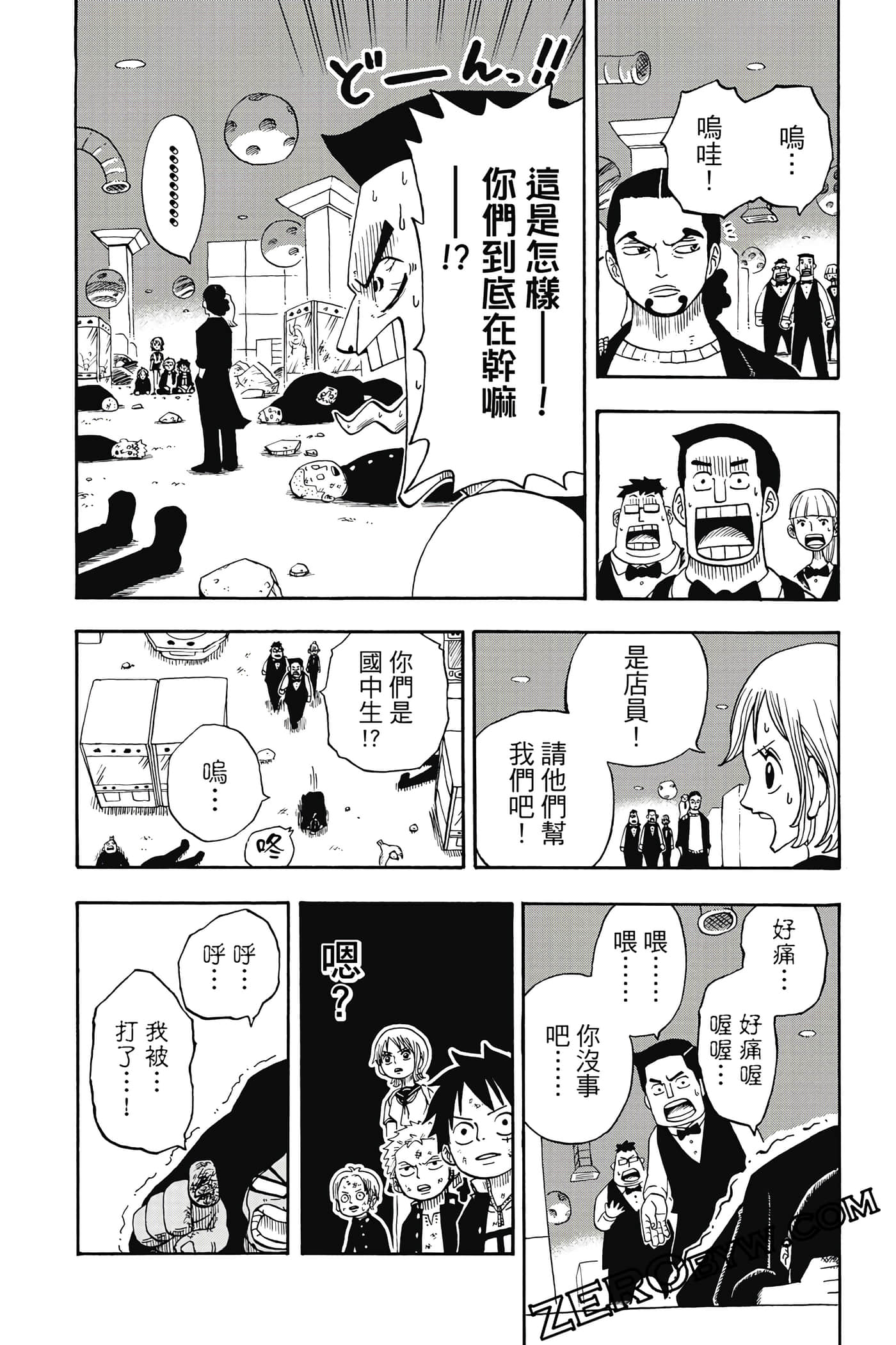 第 113 页