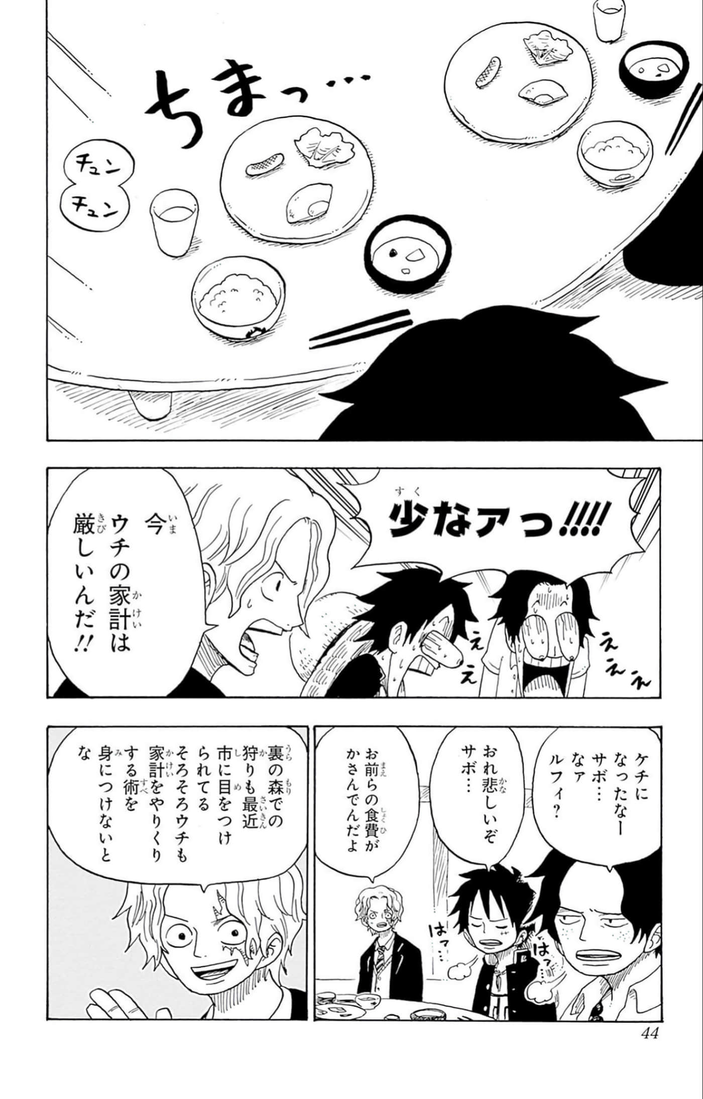 第 43 页