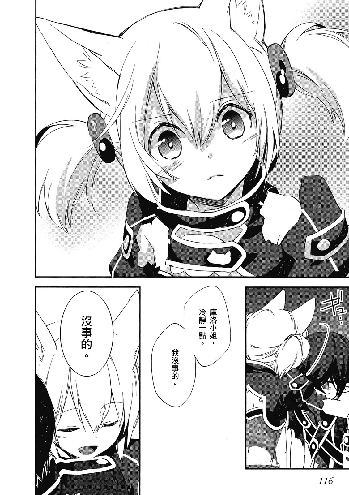 Page 116