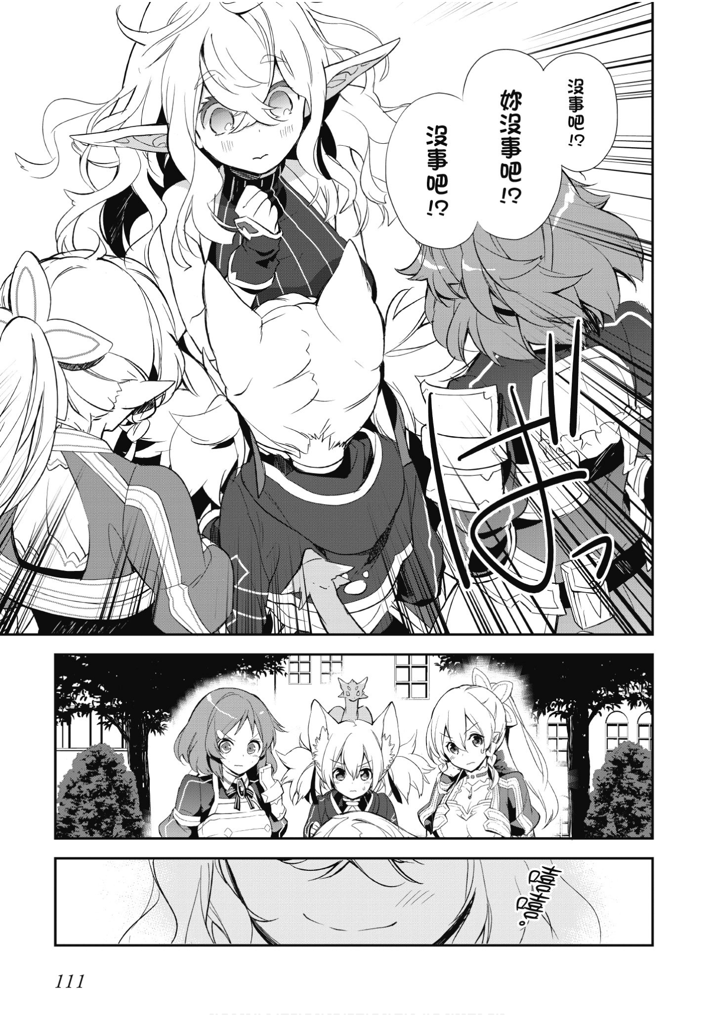 Page 111