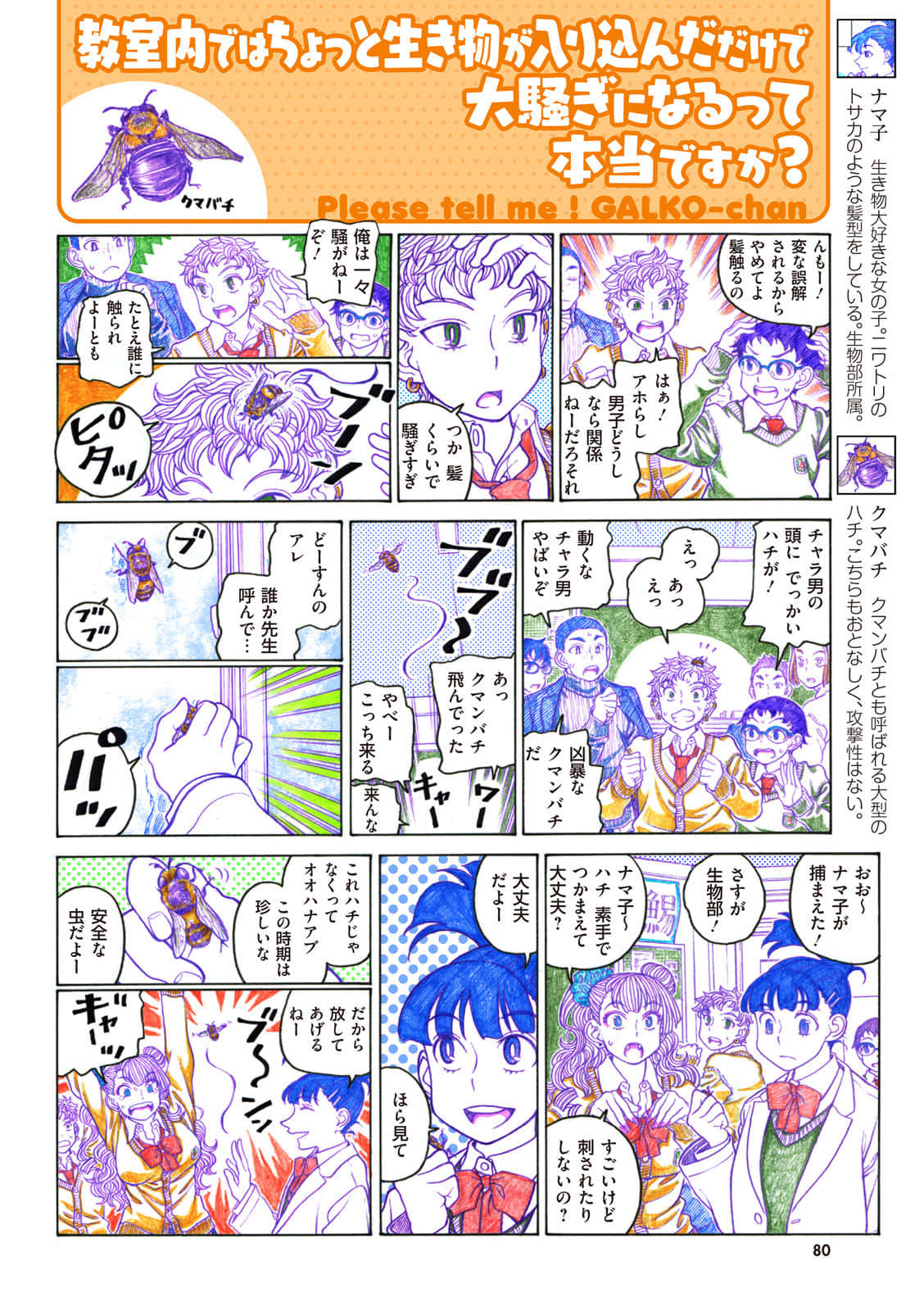 Page 81