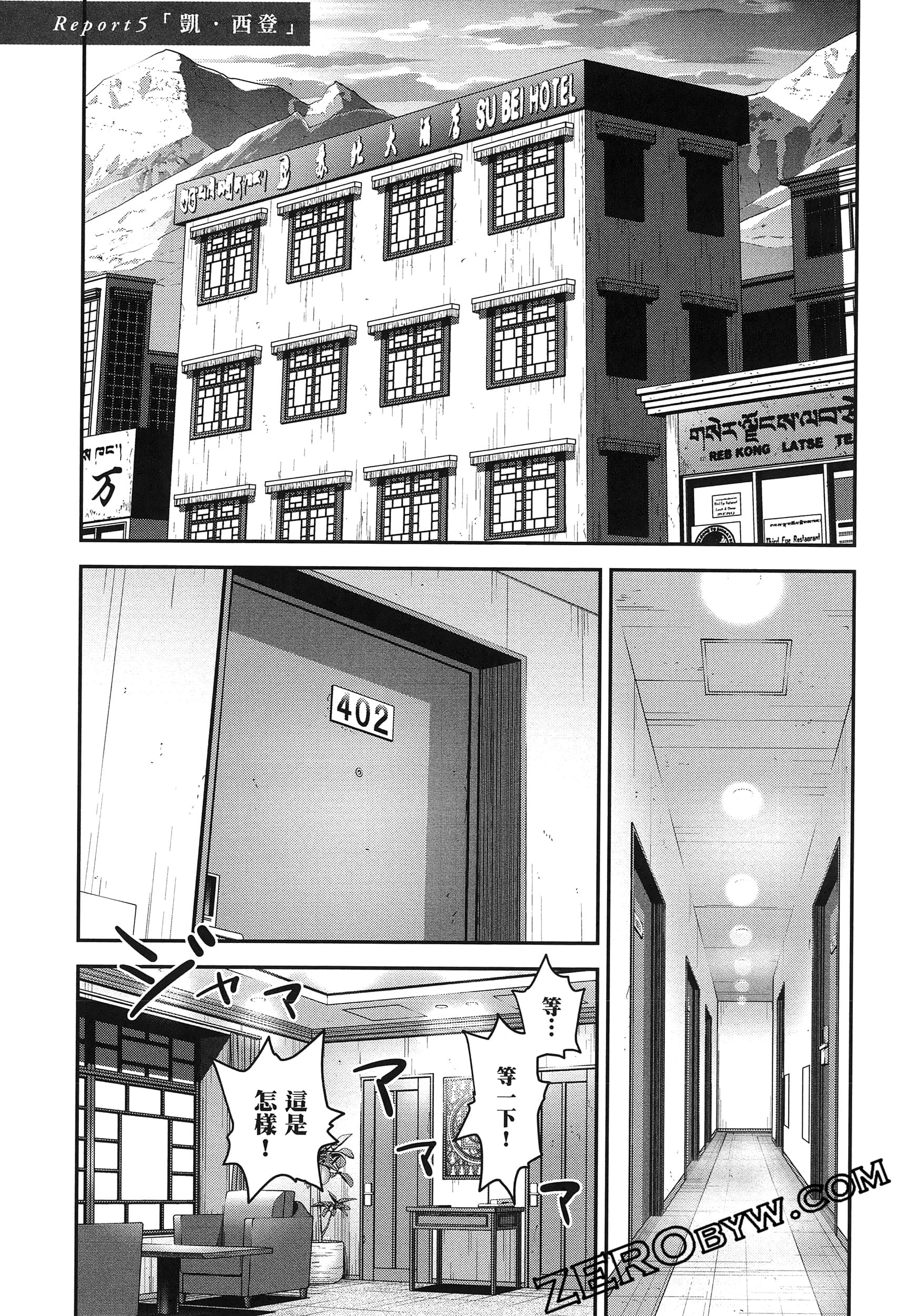 Page 111