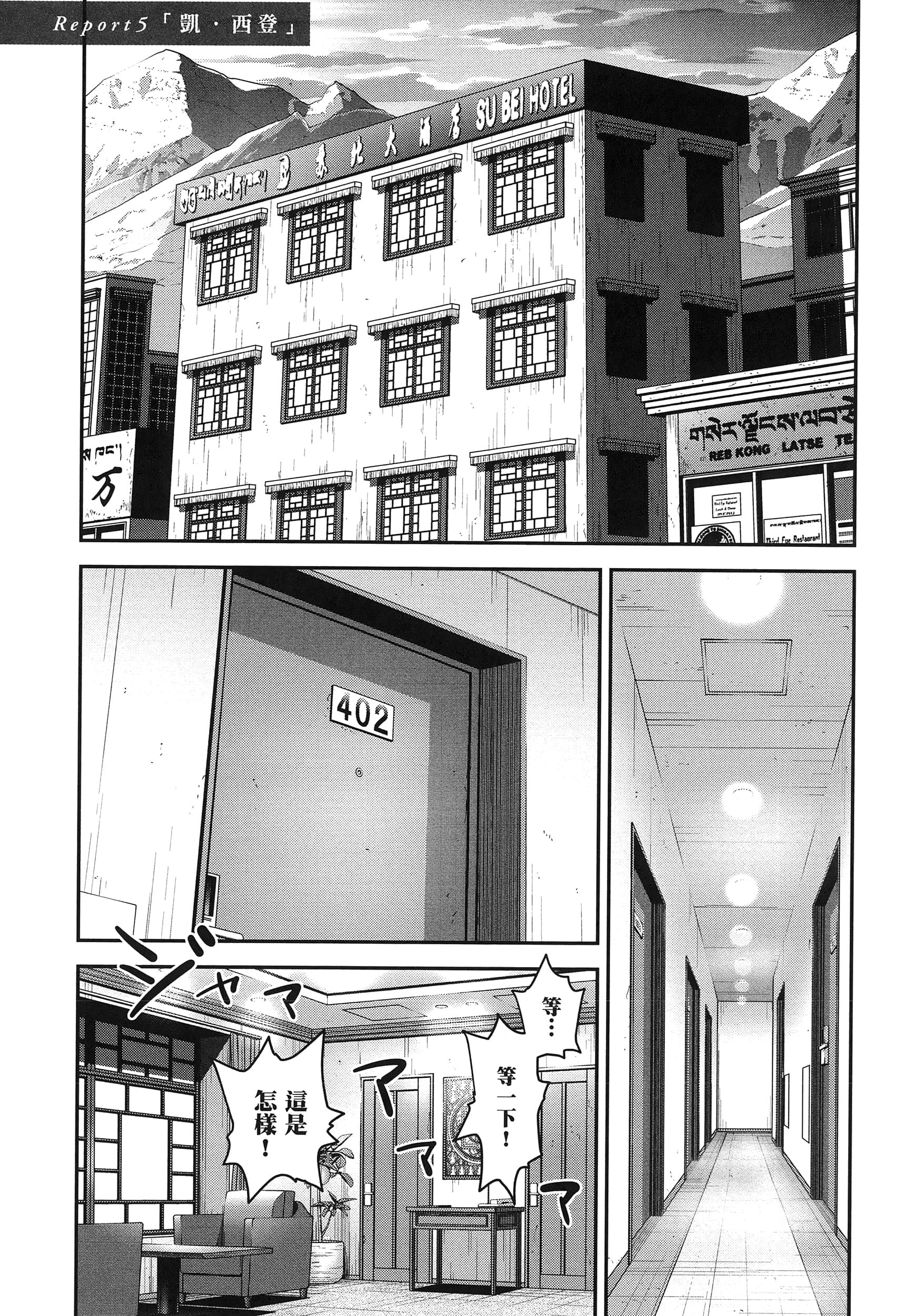 第 111 页