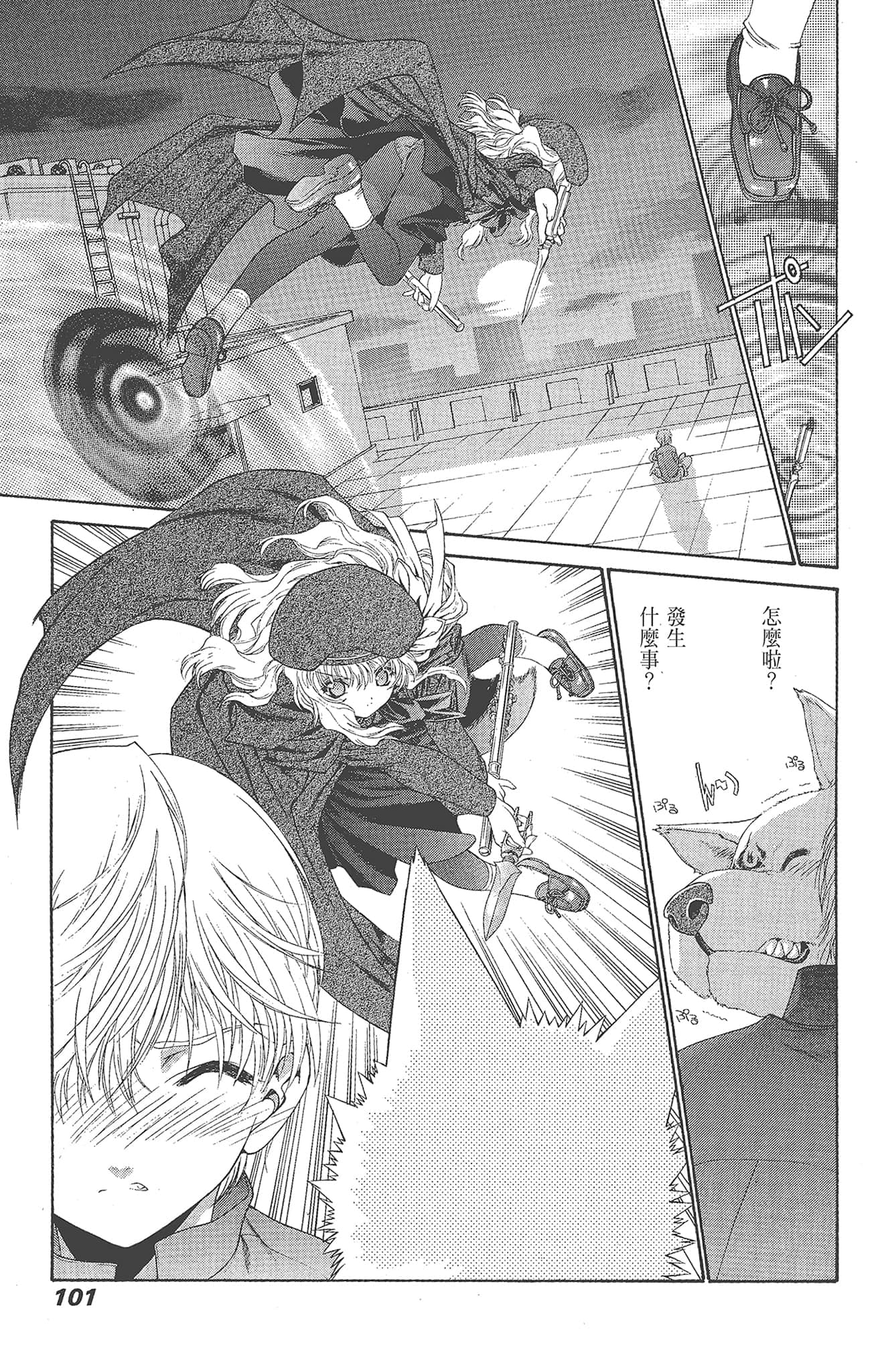 Page 101