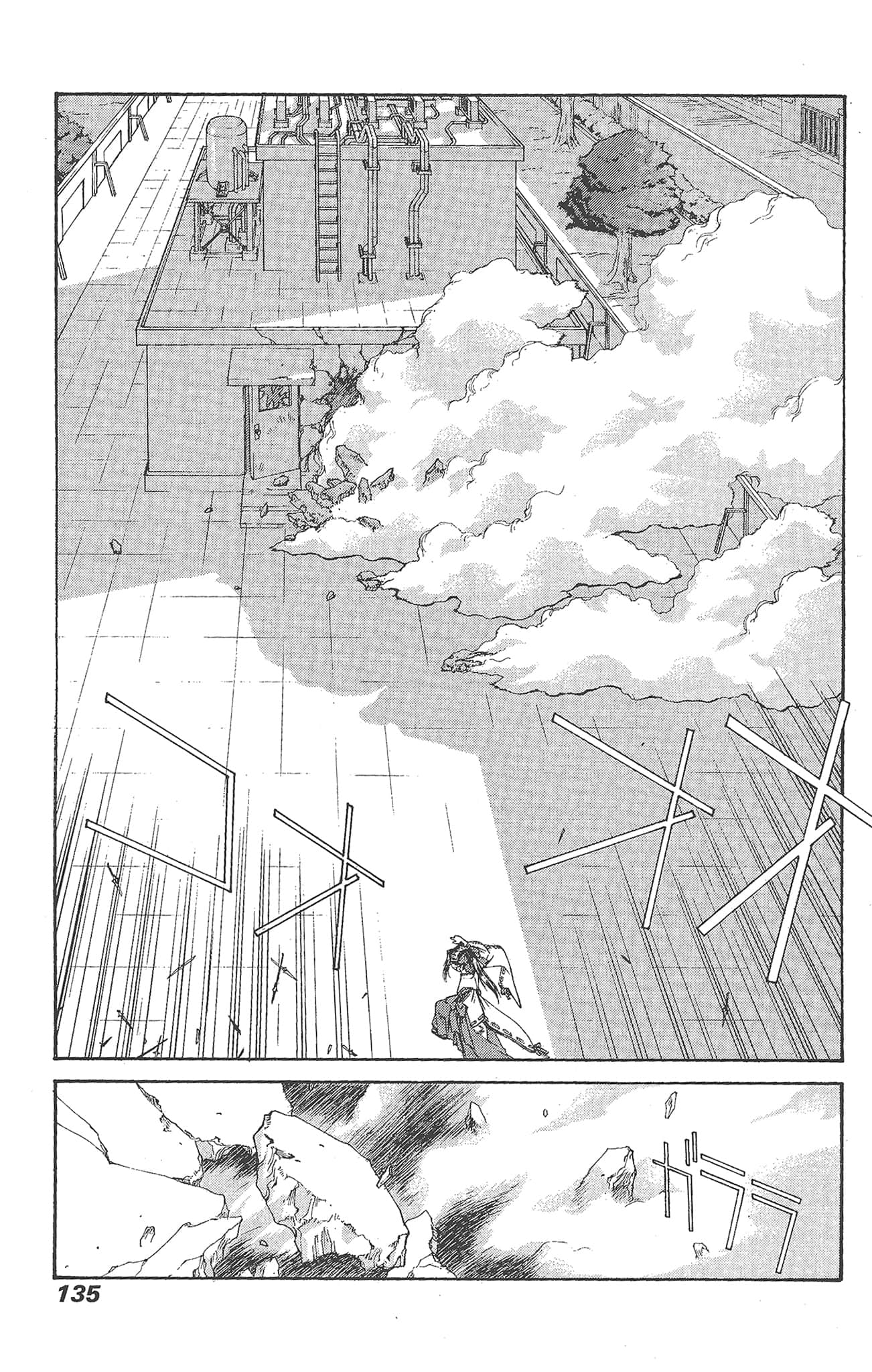 Page 135