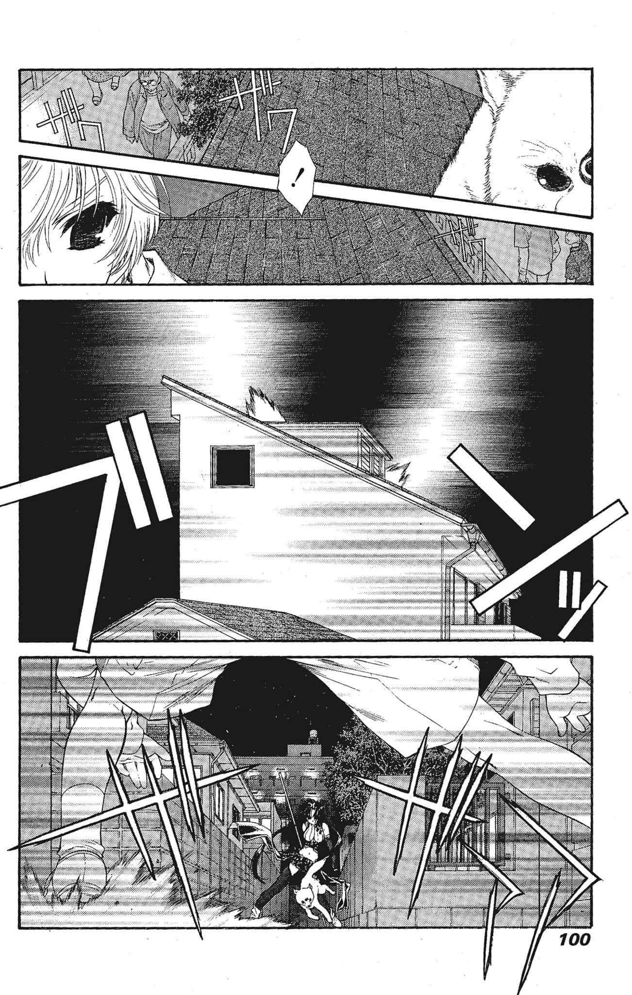 Page 100