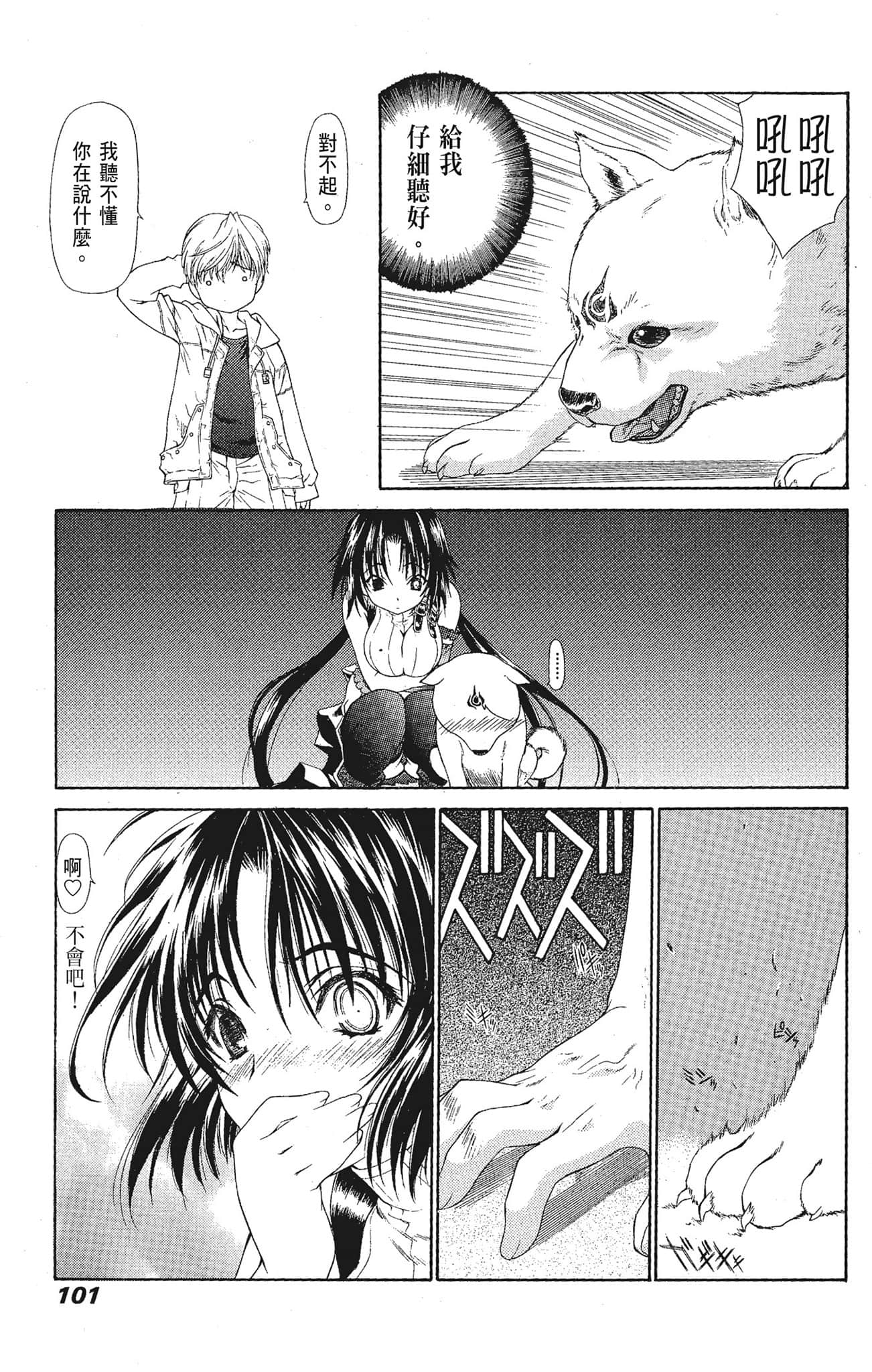 Page 101