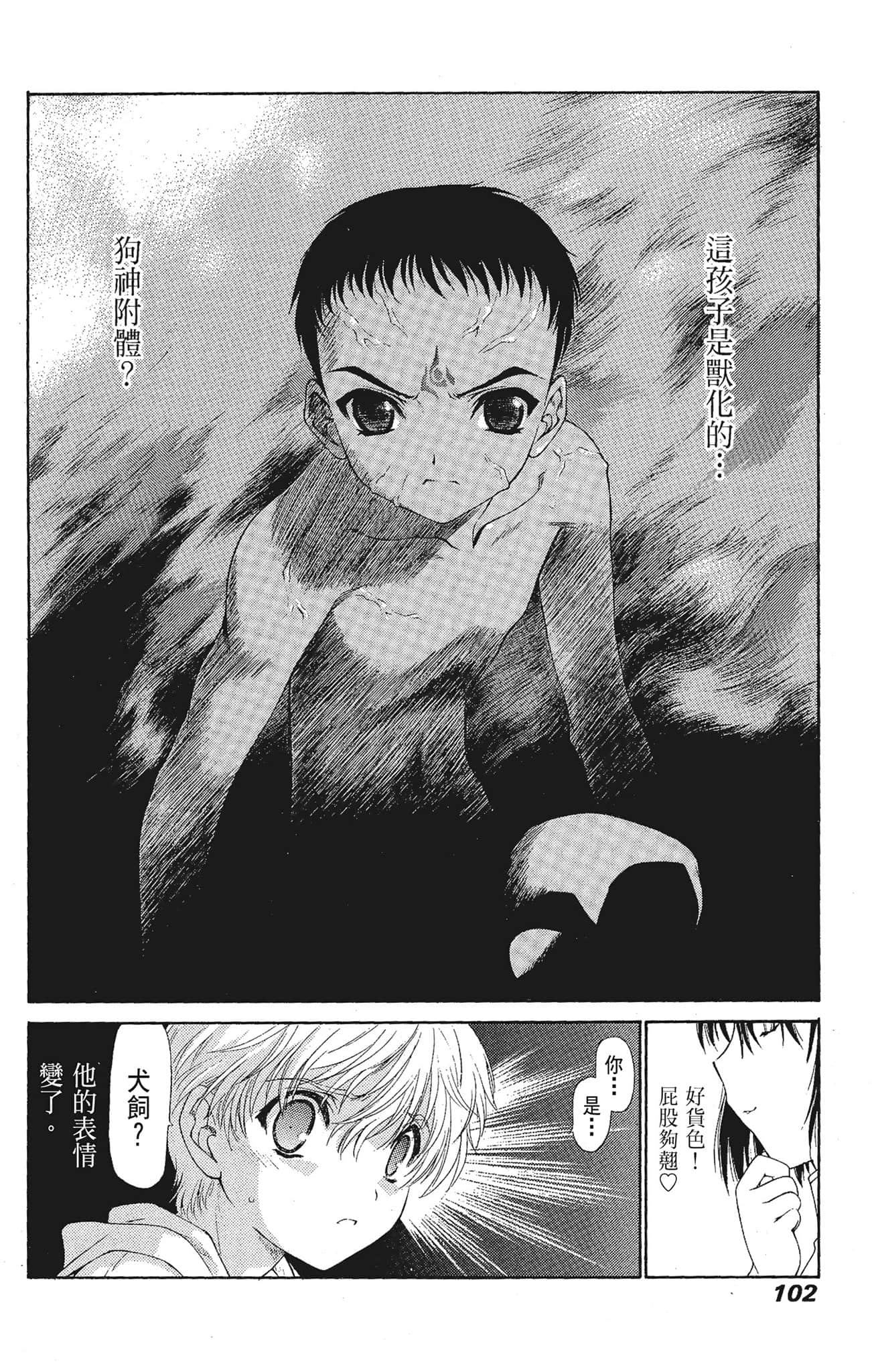 Page 102