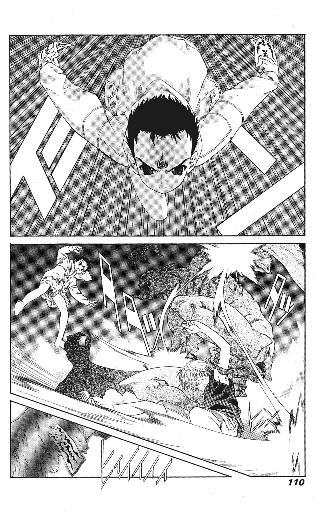Page 110