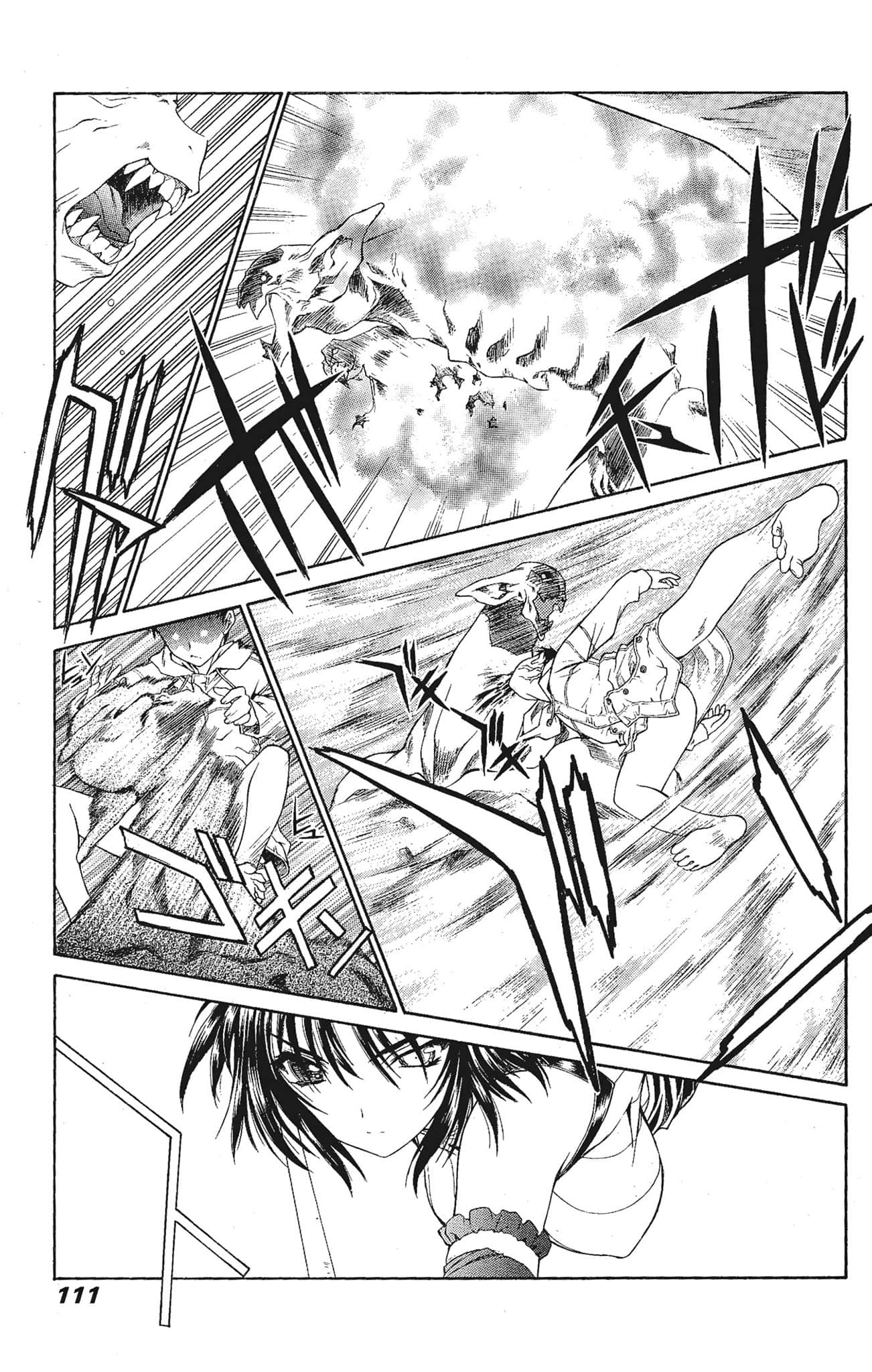 Page 111