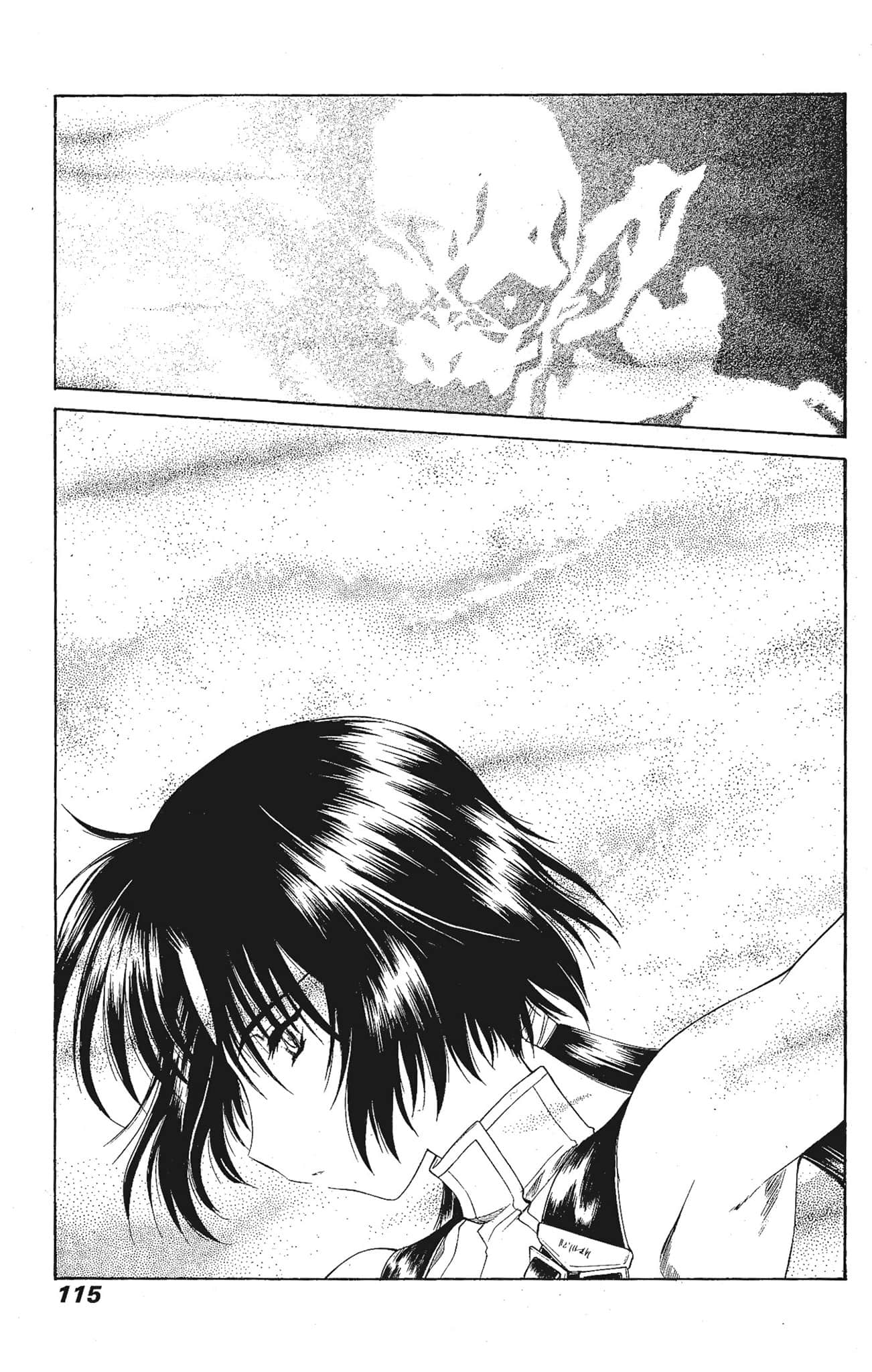 Page 115
