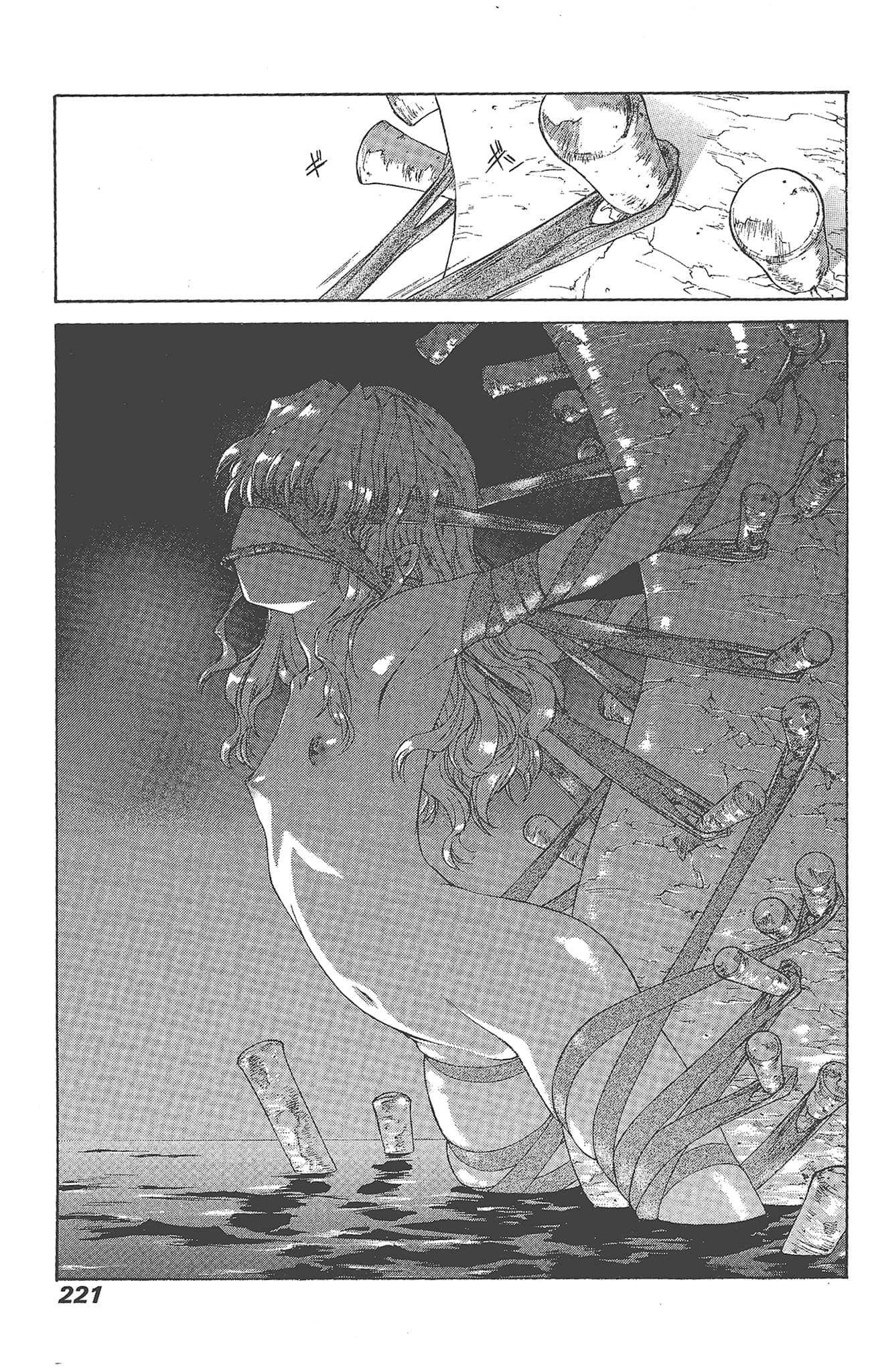 Page 221