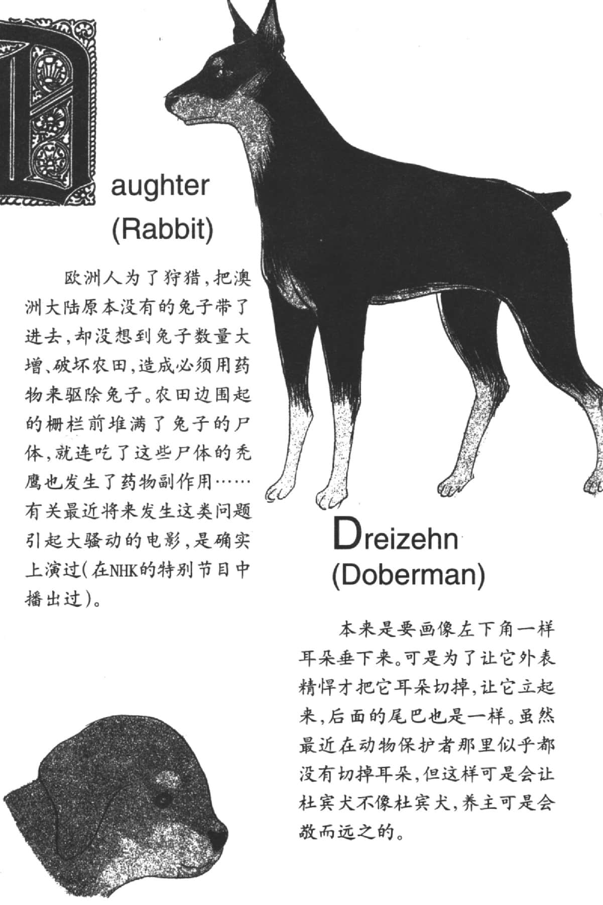 Page 193