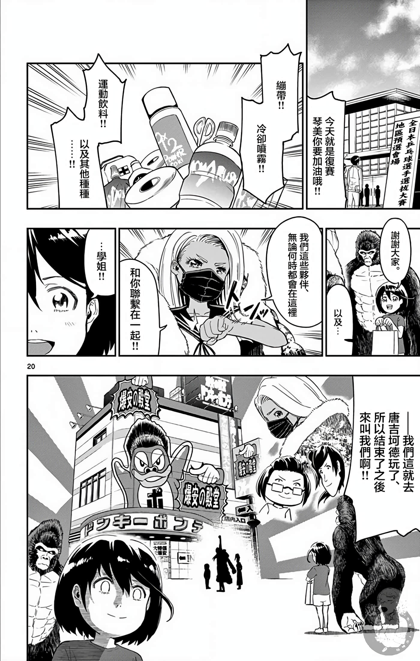 第 20 页