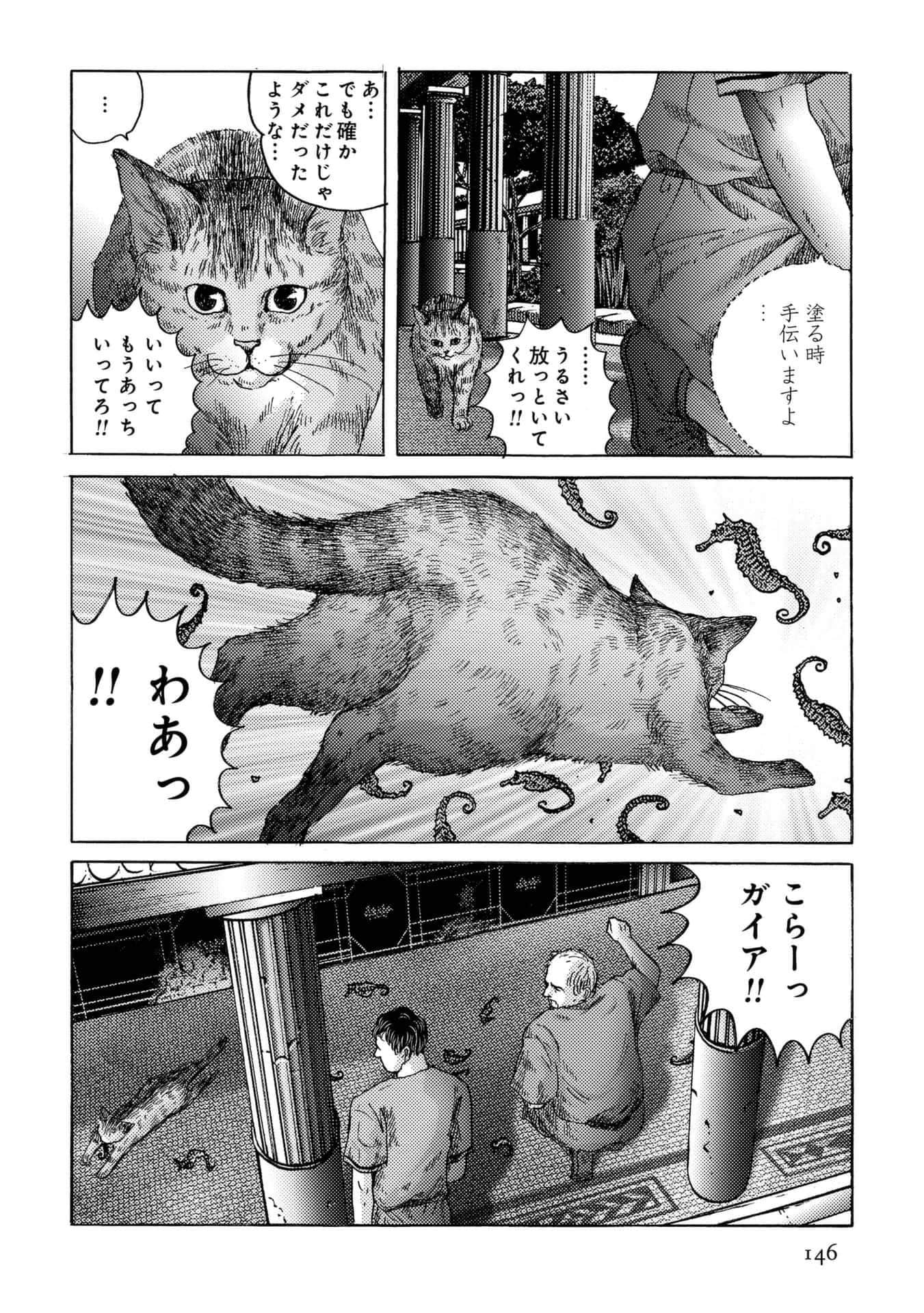 Page 146