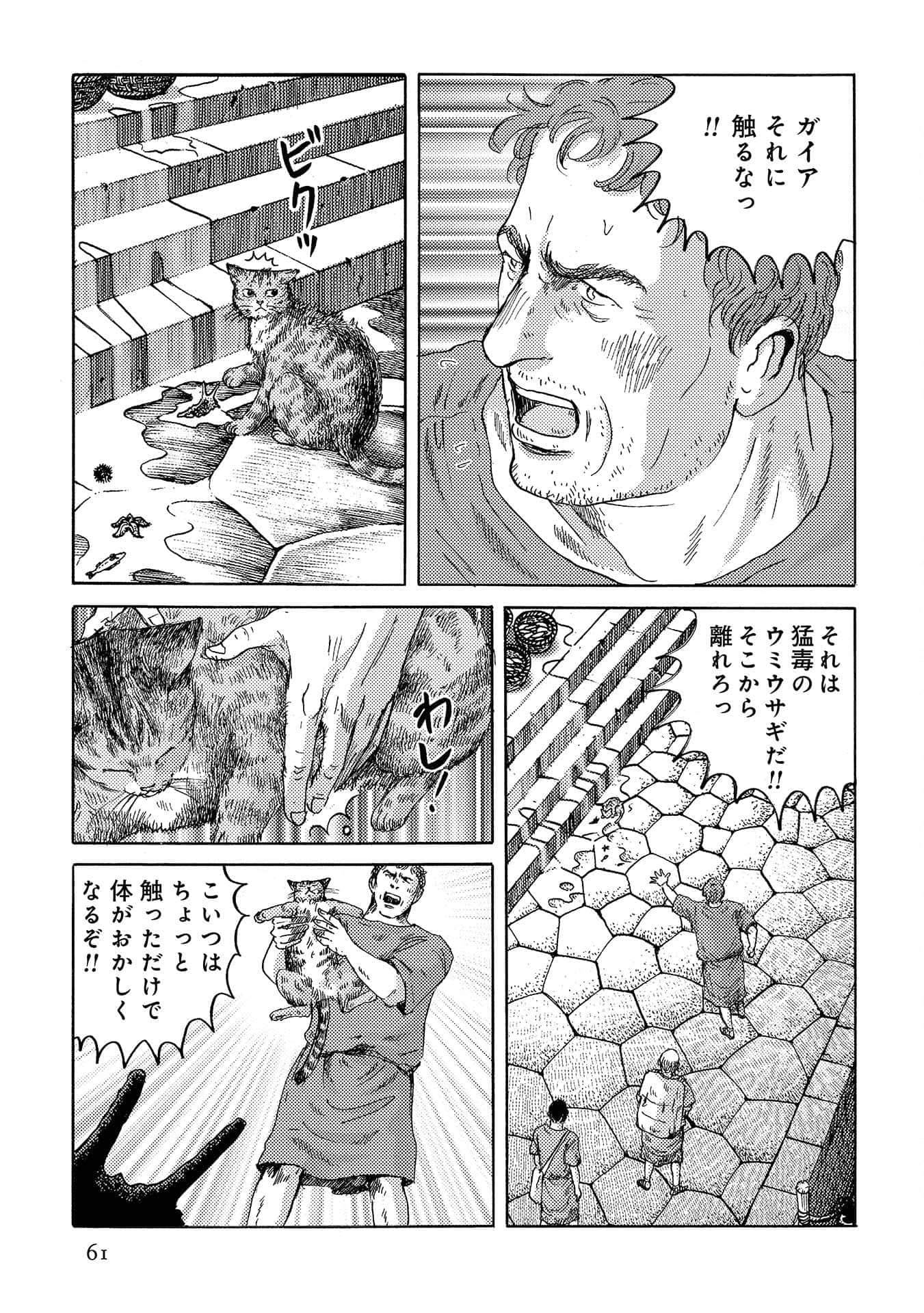 Page 62