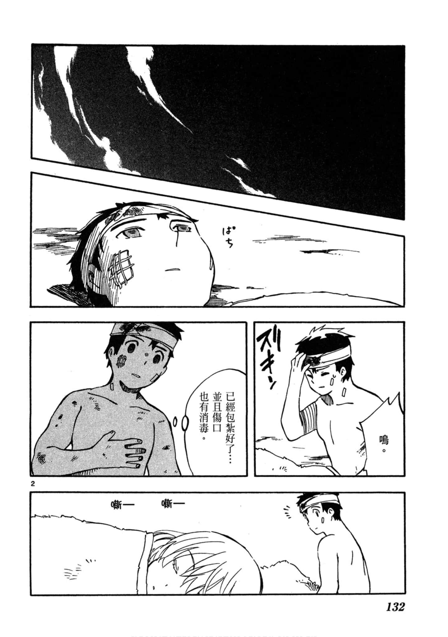 Page 133