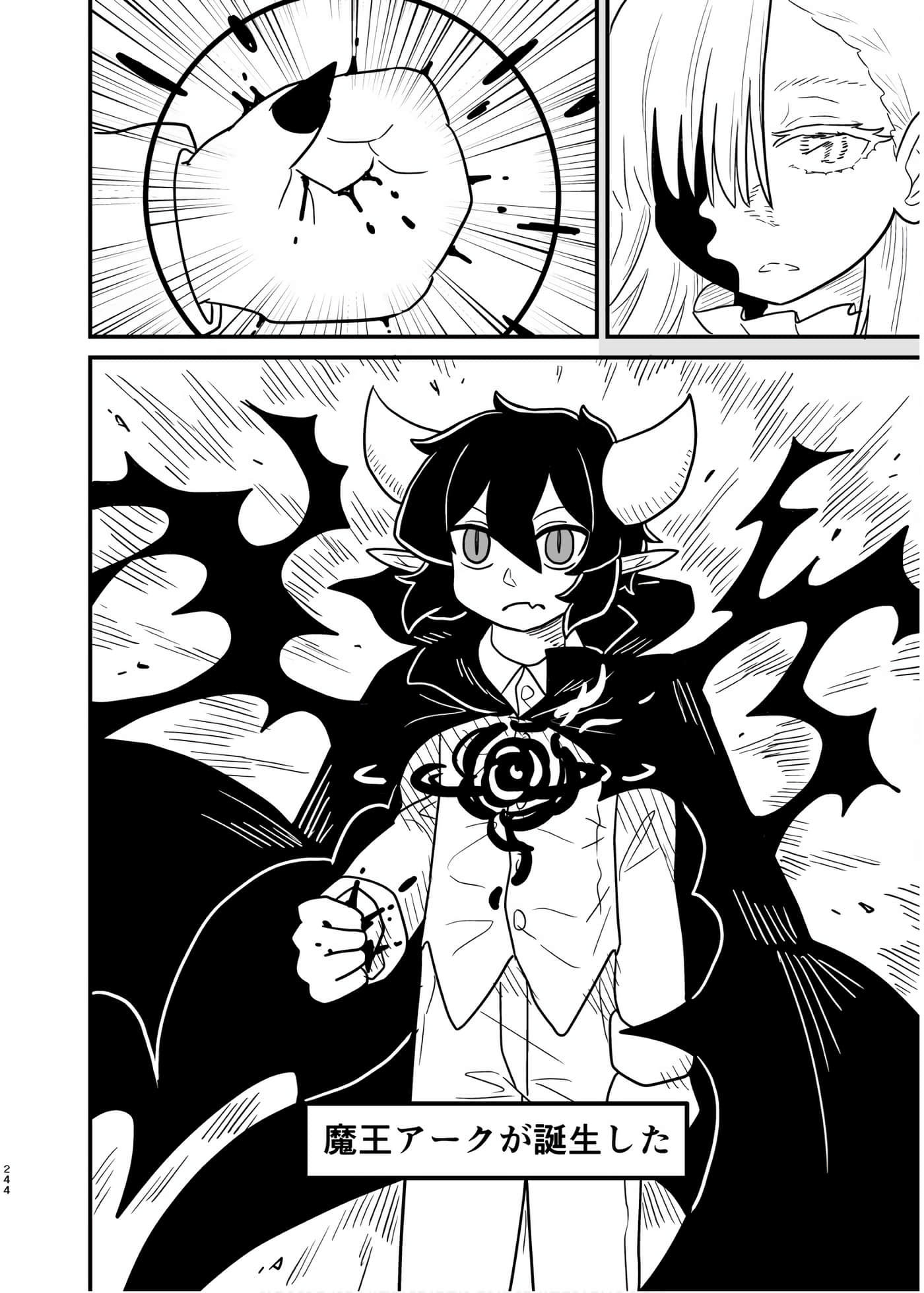 Page 243