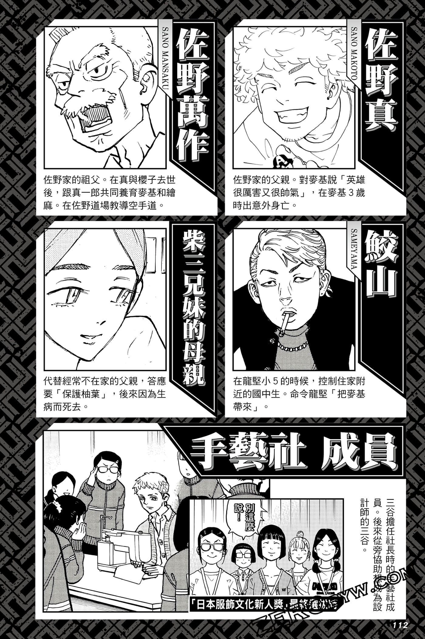 Page 113
