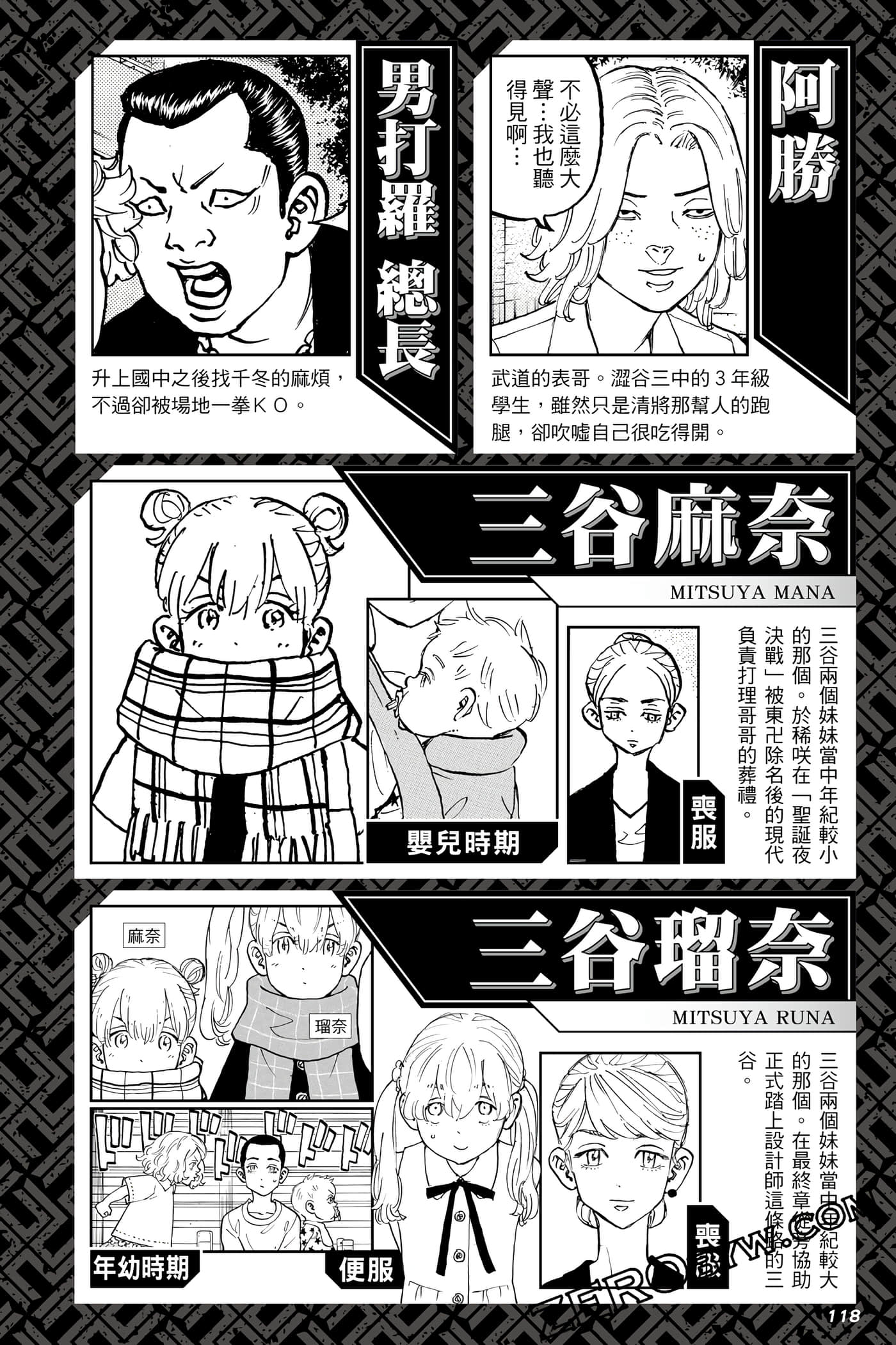 Page 119