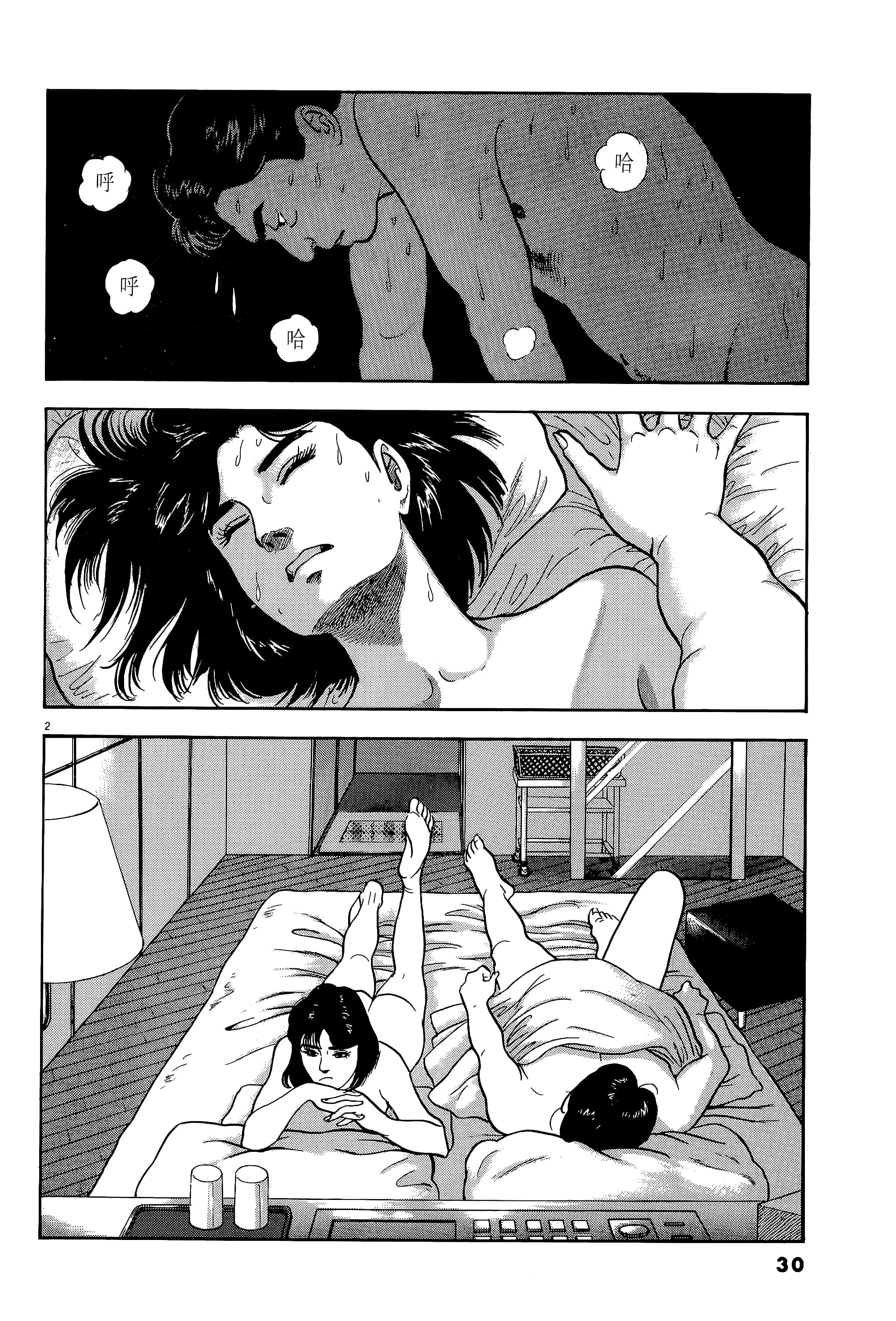 第 30 页