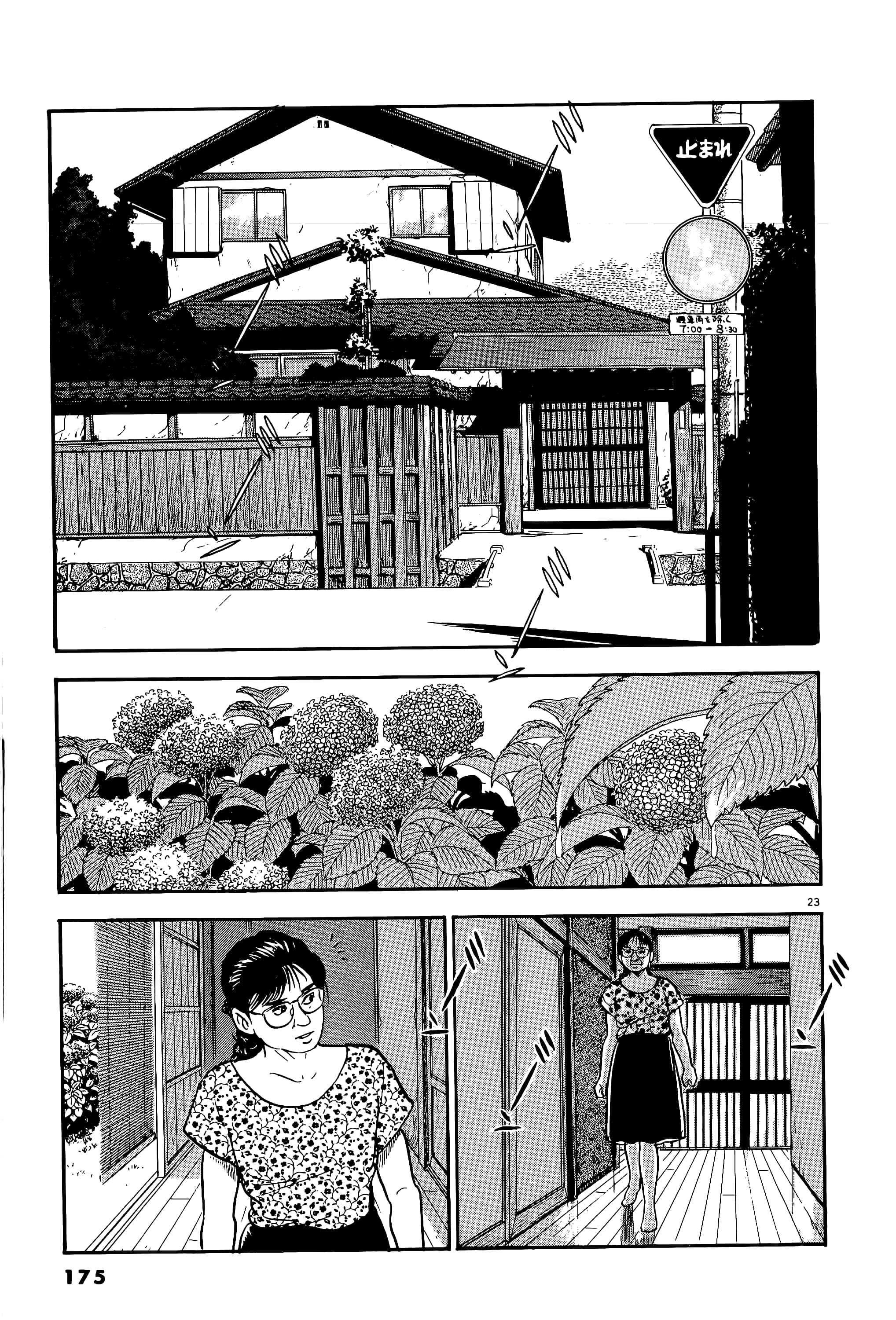 第 175 页